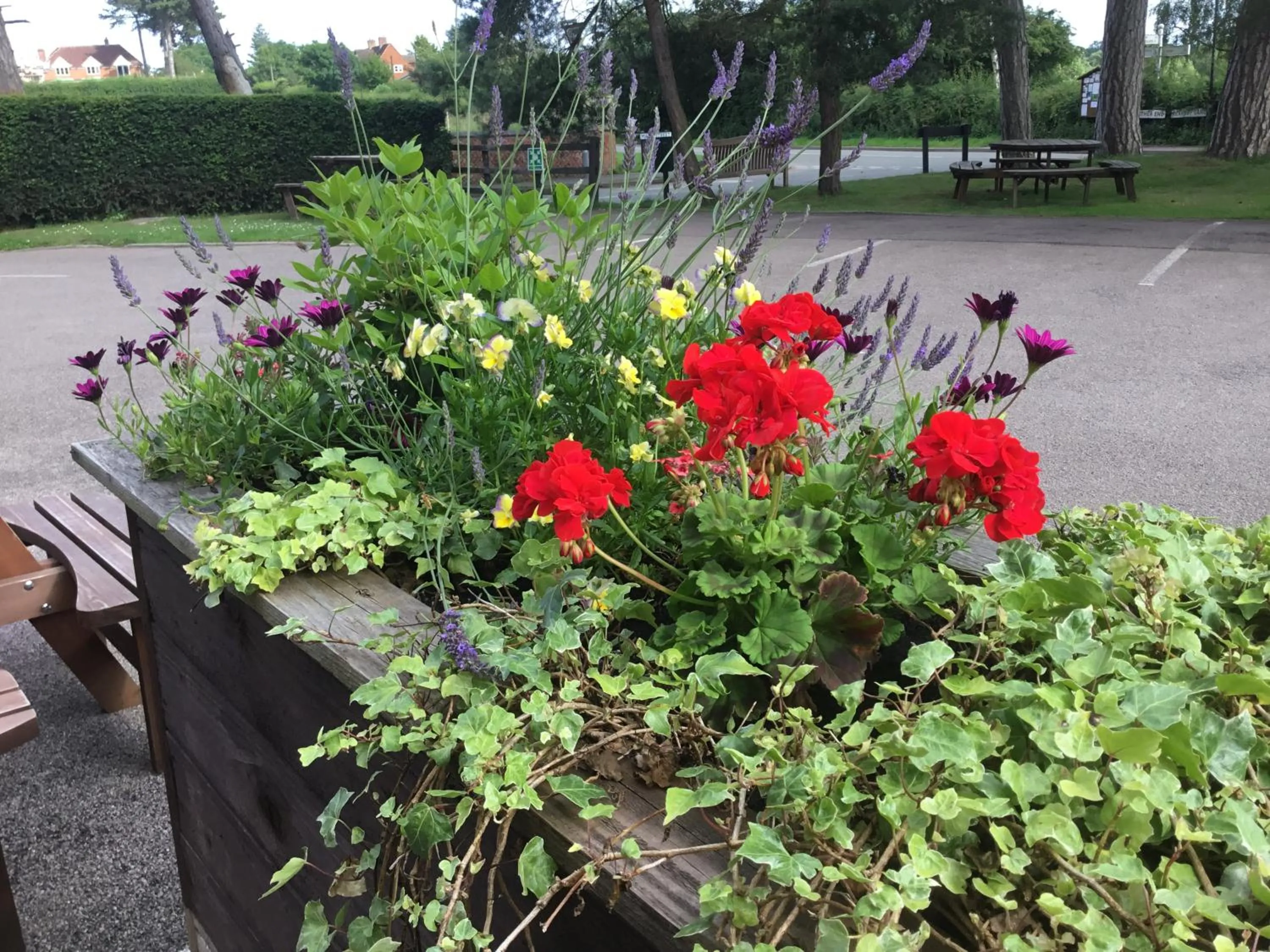 Garden in The Cheney Arms