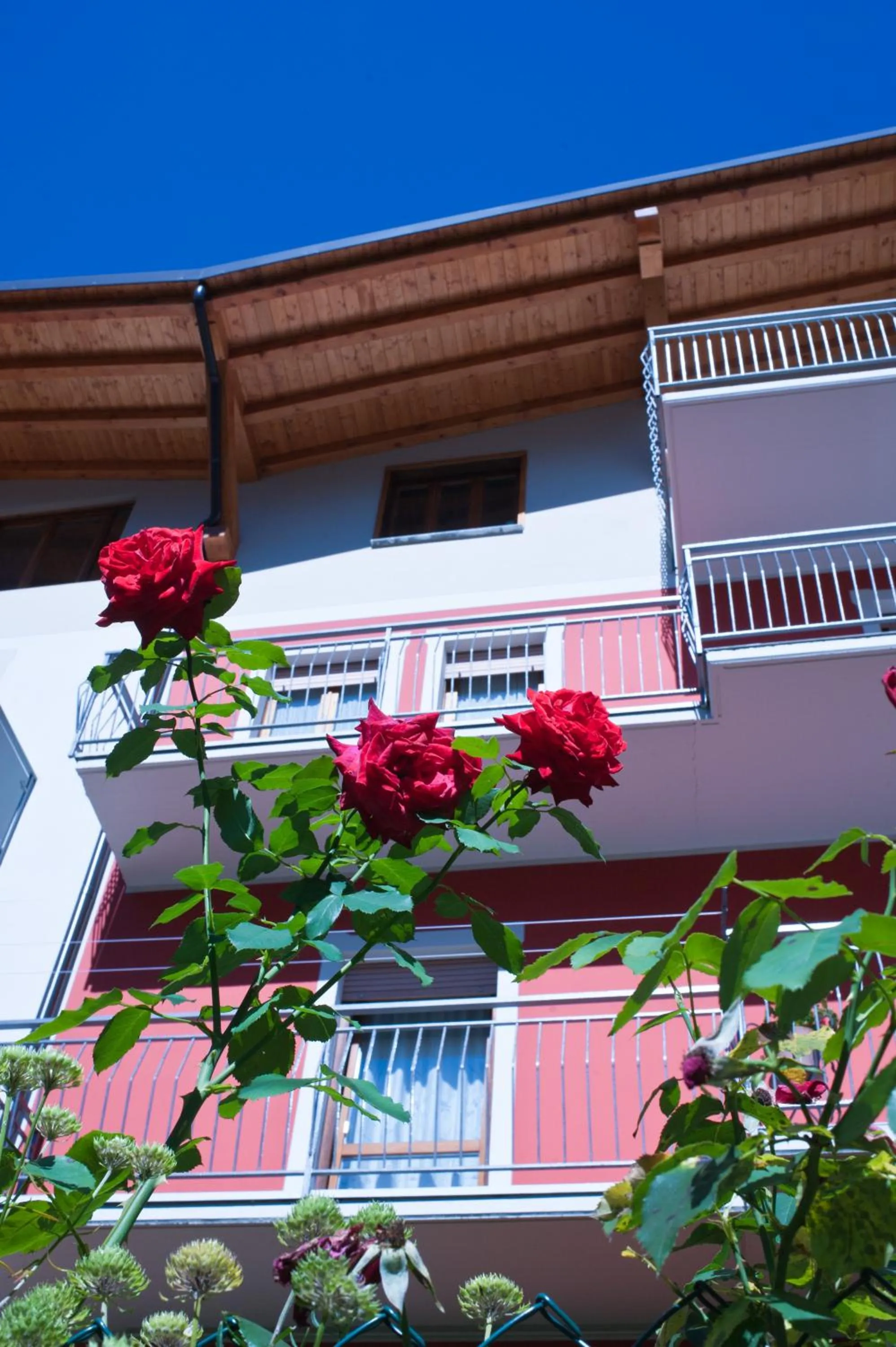 Property building in B&B Il Pettirosso