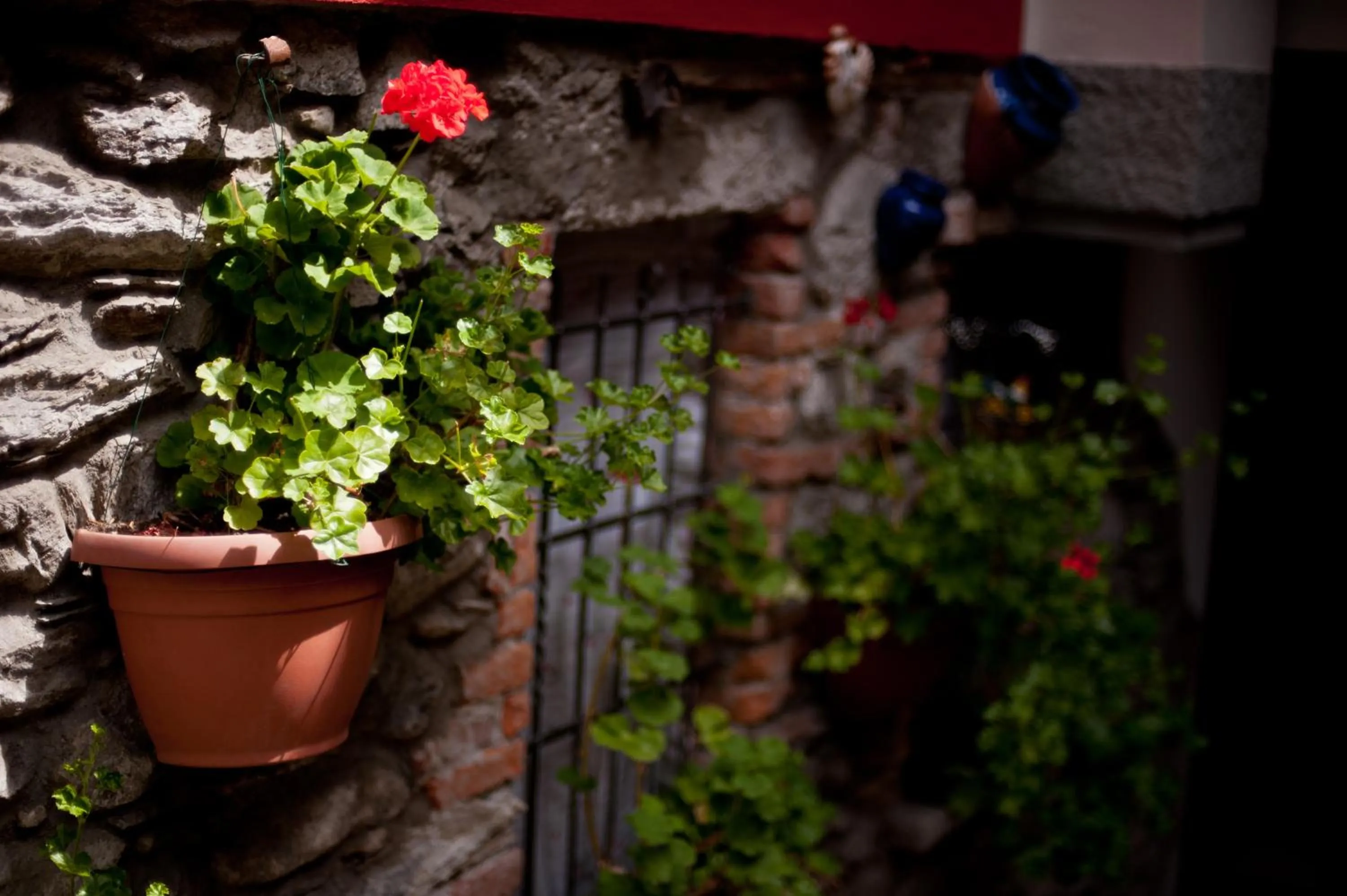 Facade/entrance in B&B Il Pettirosso