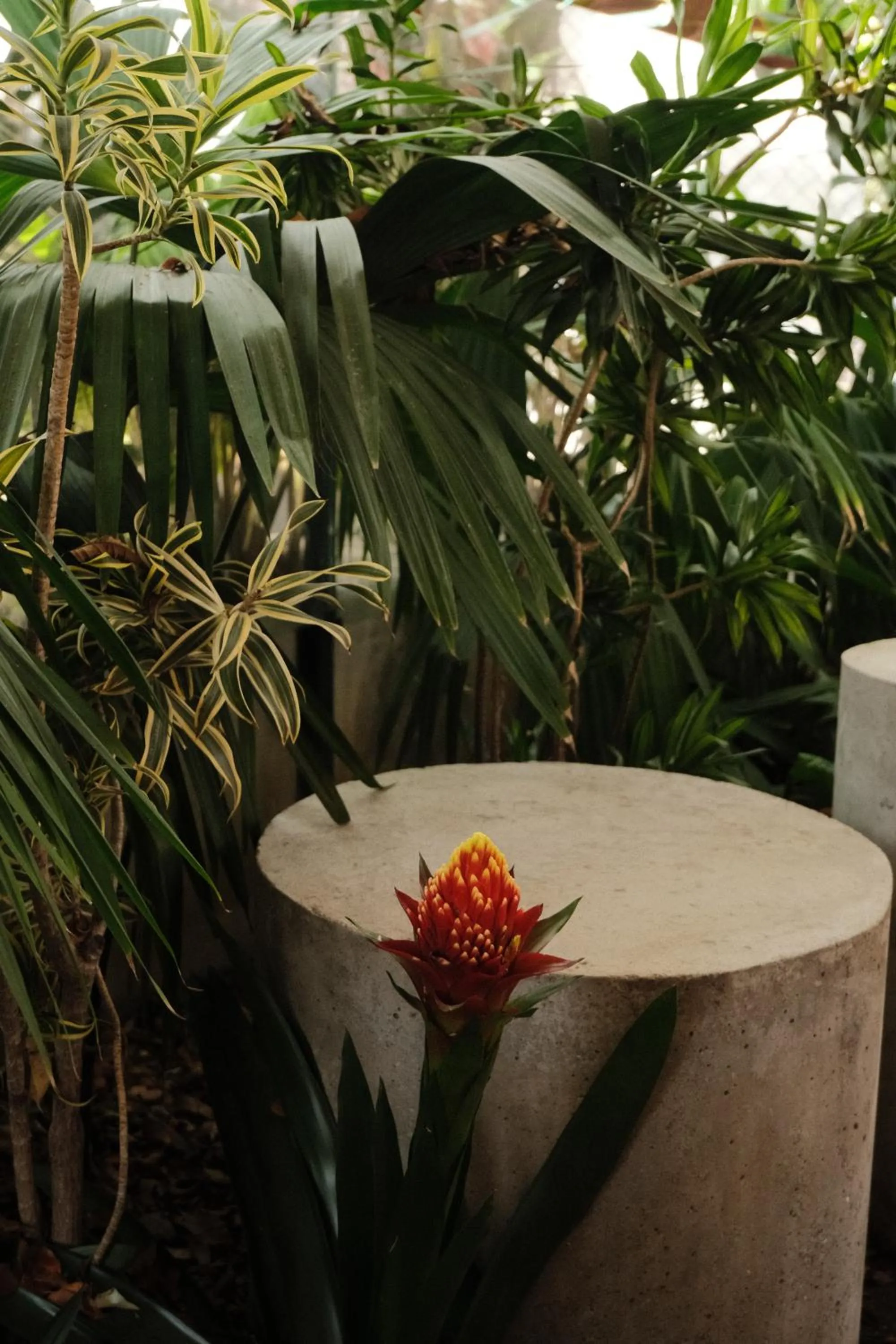 Restaurant/places to eat in Sui Boutique Hotel