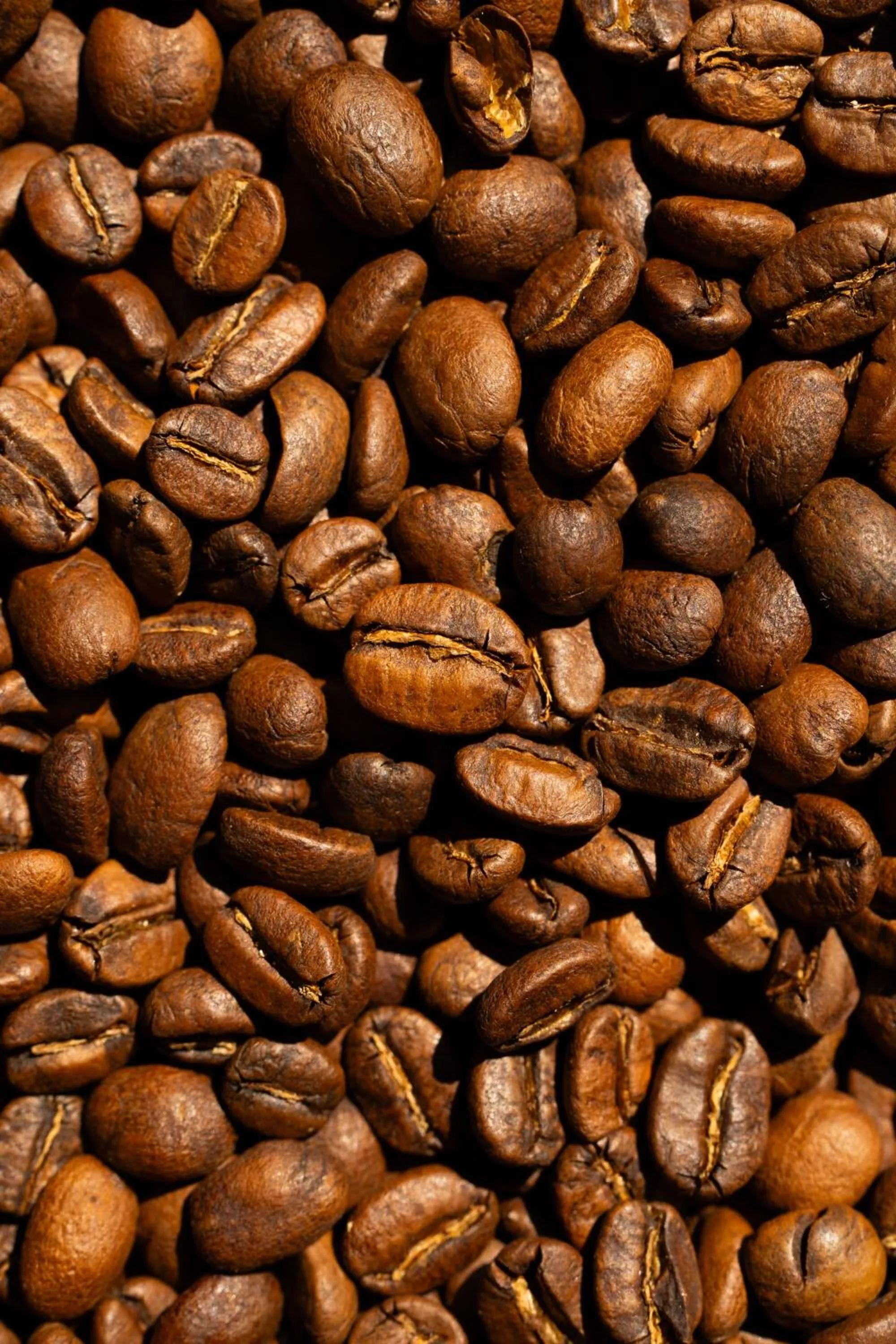 Food and drinks in Sui Boutique Hotel