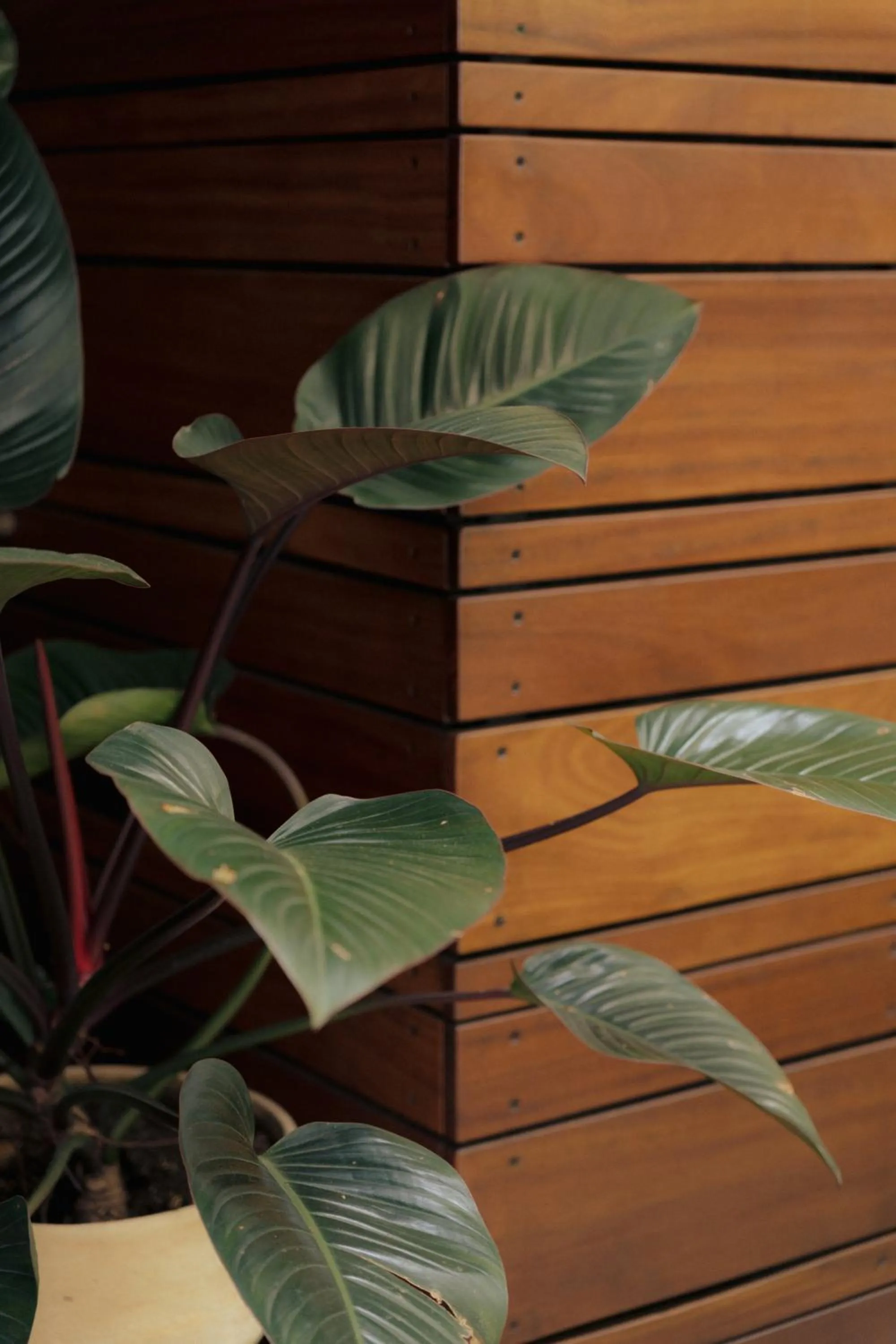 Garden in Sui Boutique Hotel