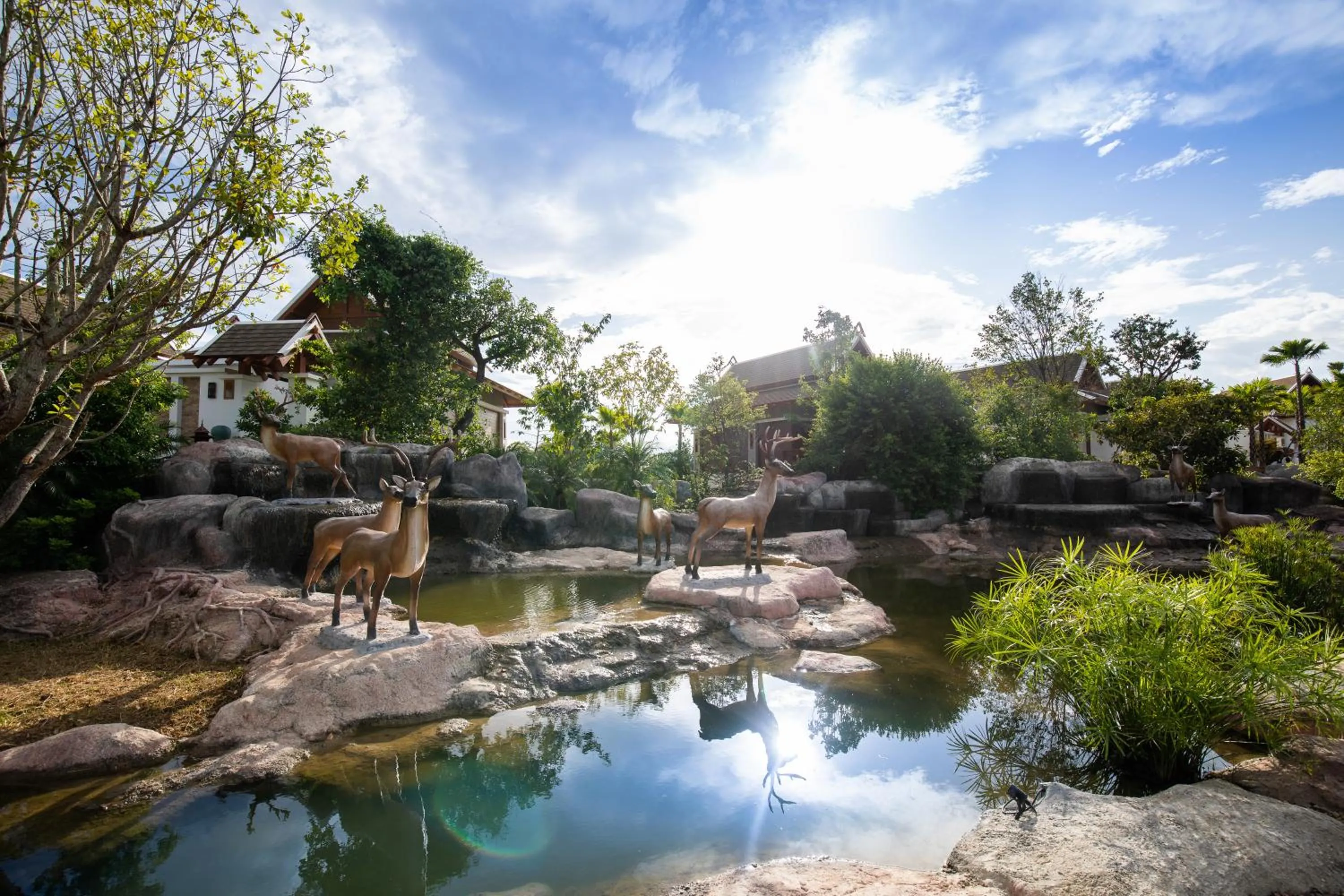 Garden in Thantara Resort Chiang Mai