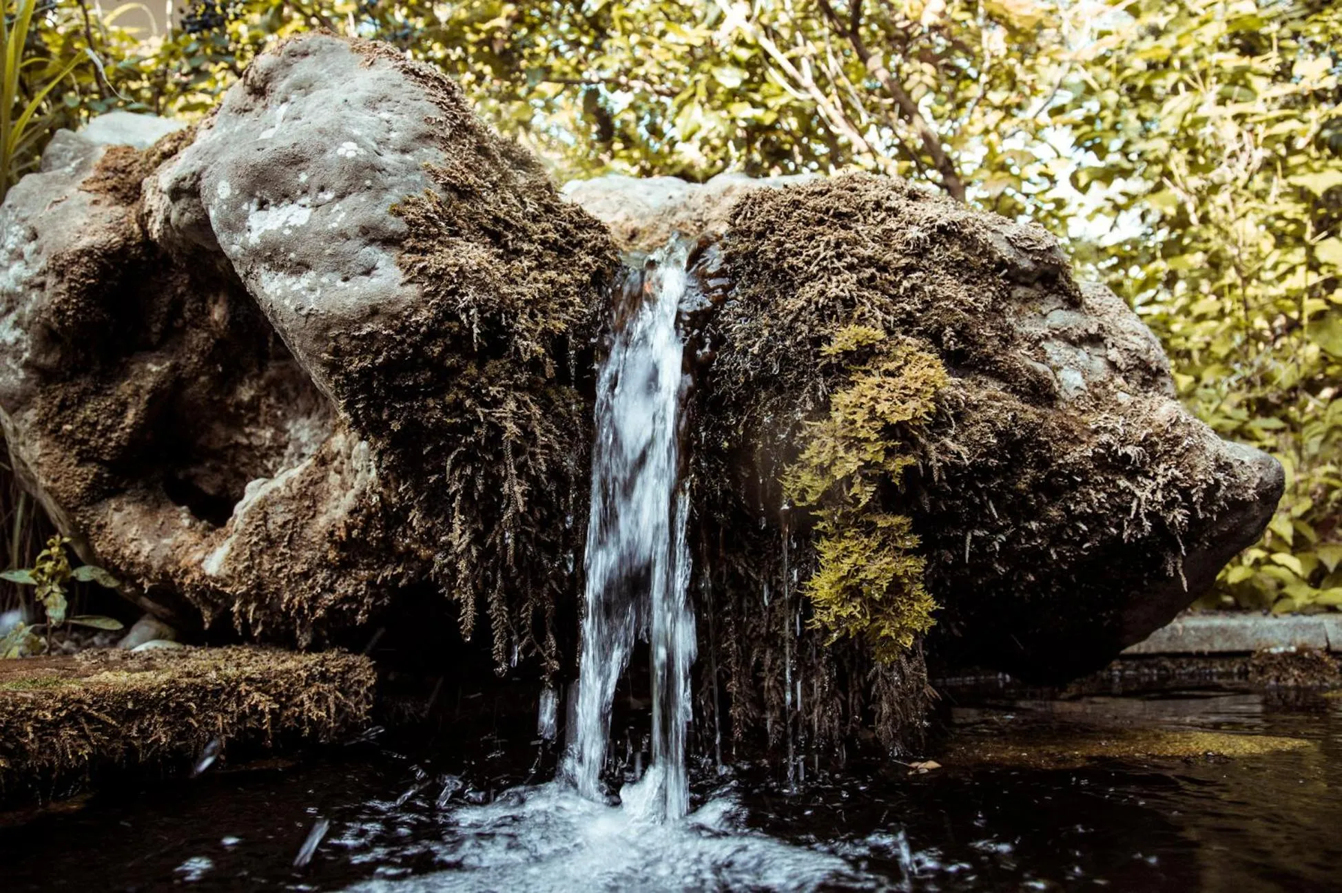 Garden in Hotel Limmerhof