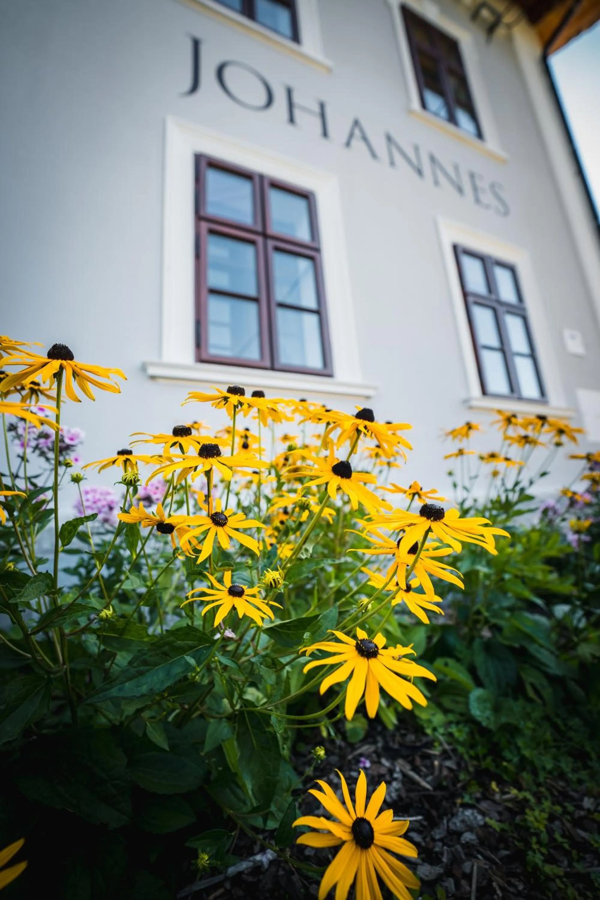 Garden view in Penzion Johannes, Rýmařov - Stará Ves