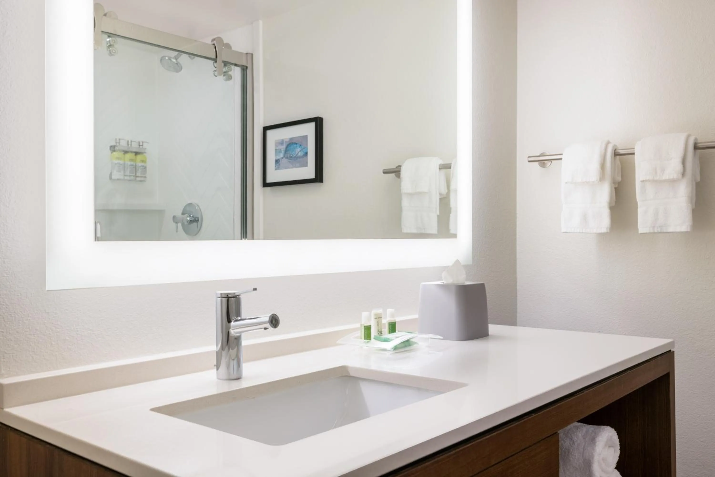 Bathroom in Doubletree By Hilton Fort Worth South