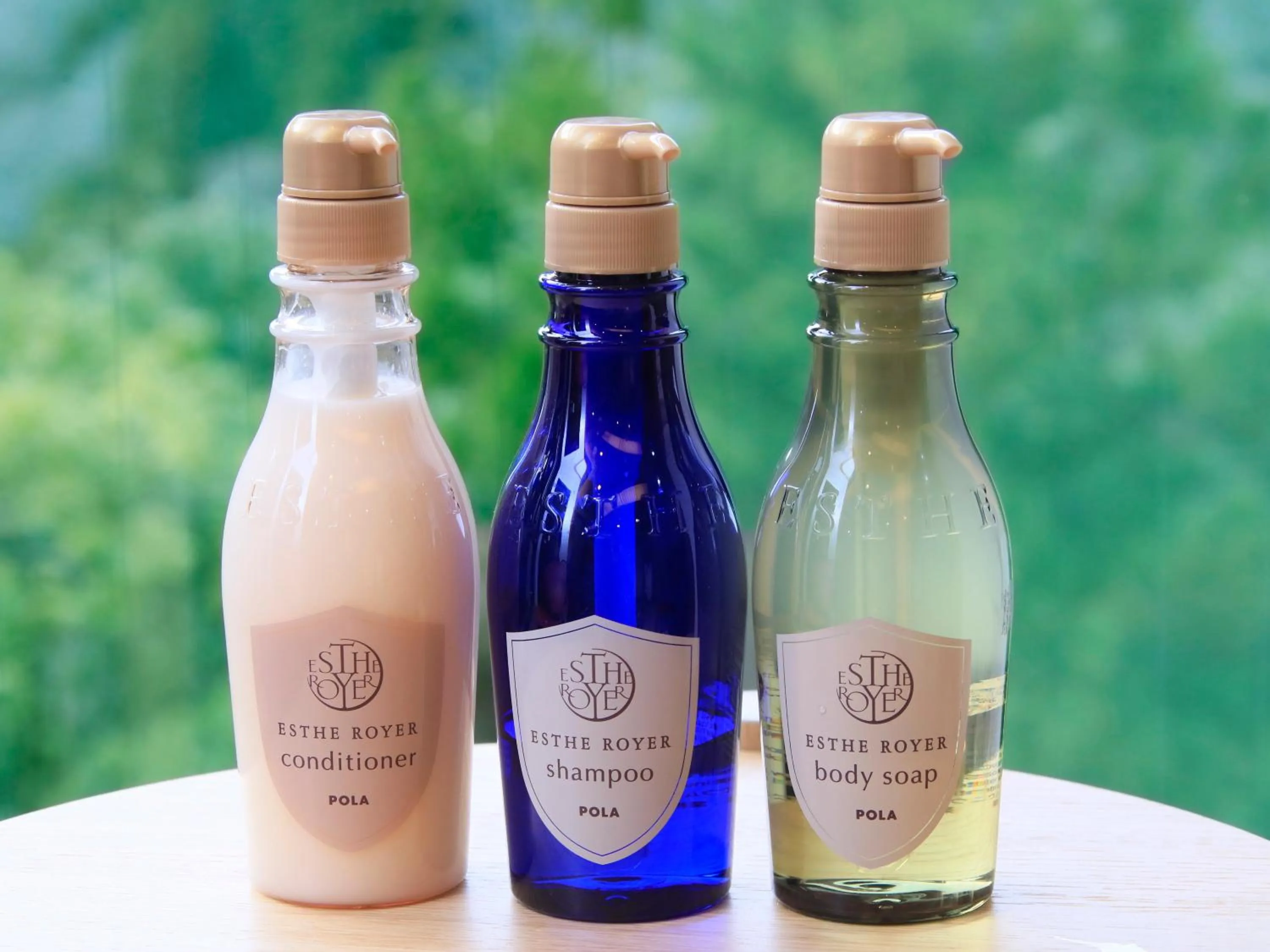 Photo of the whole room in Hot Spring Inn Hakone Suisen