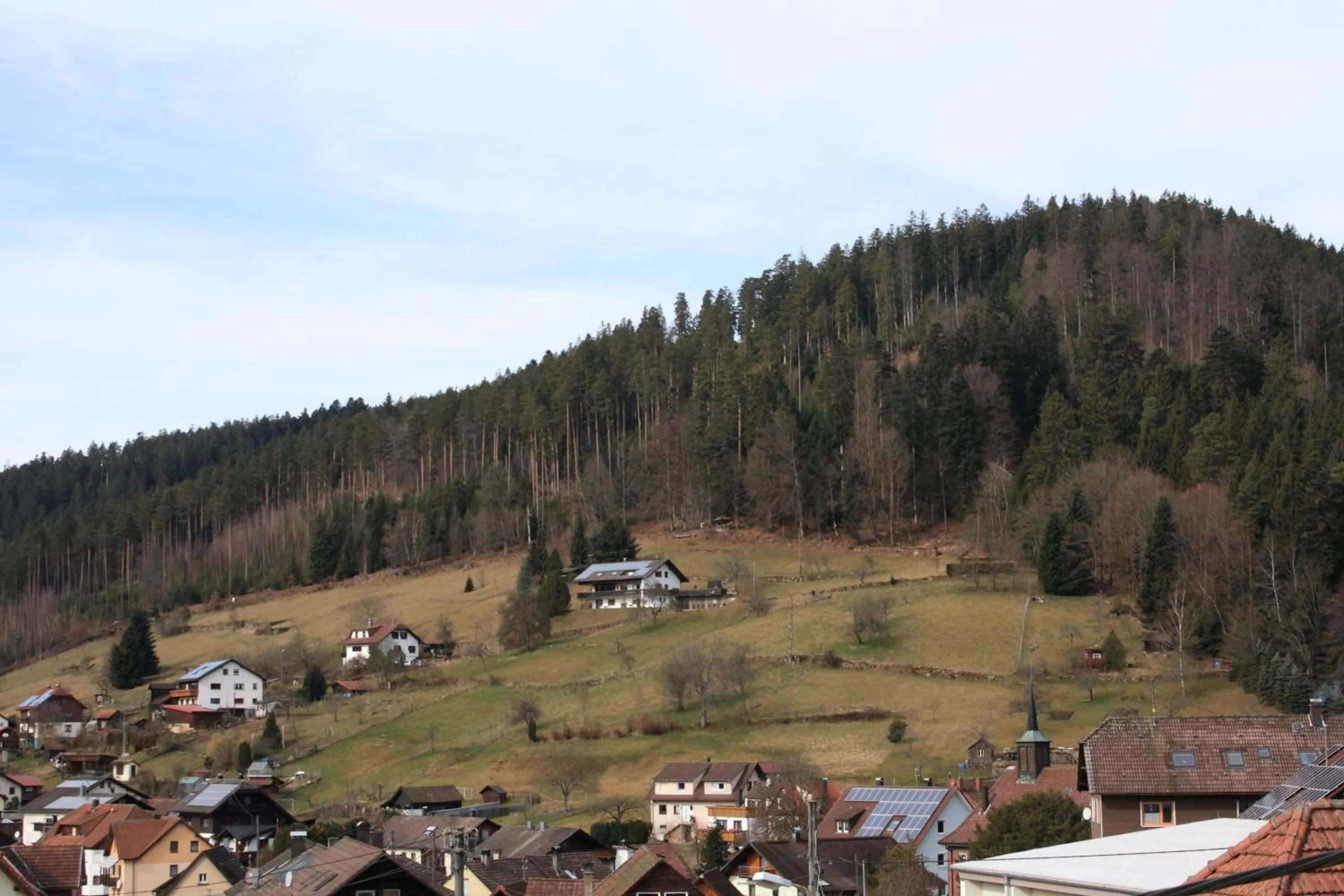 View (from property/room) in Schwarzwald-Gasthof Hirsch