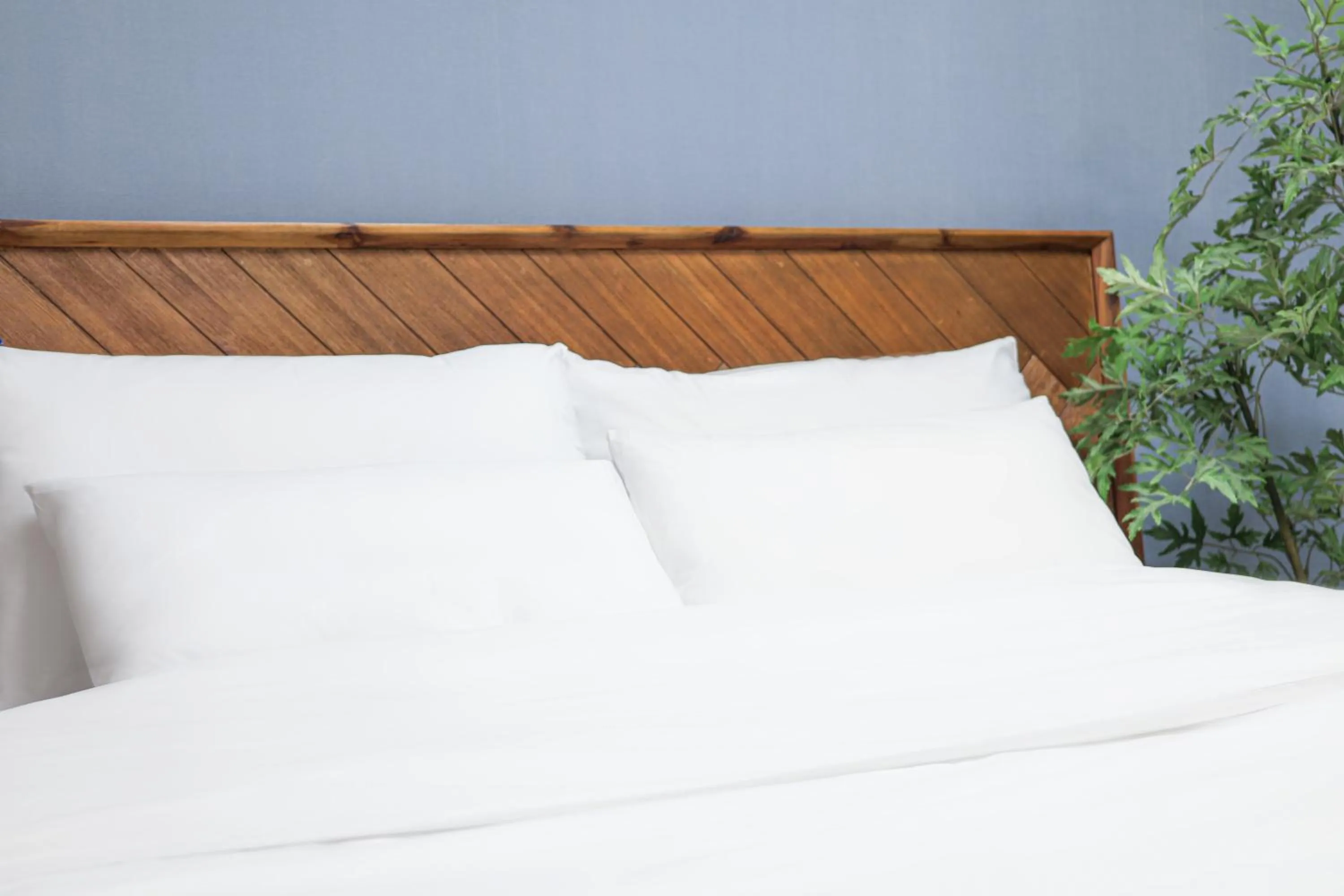 Bed in Landmark Stay in Songdo