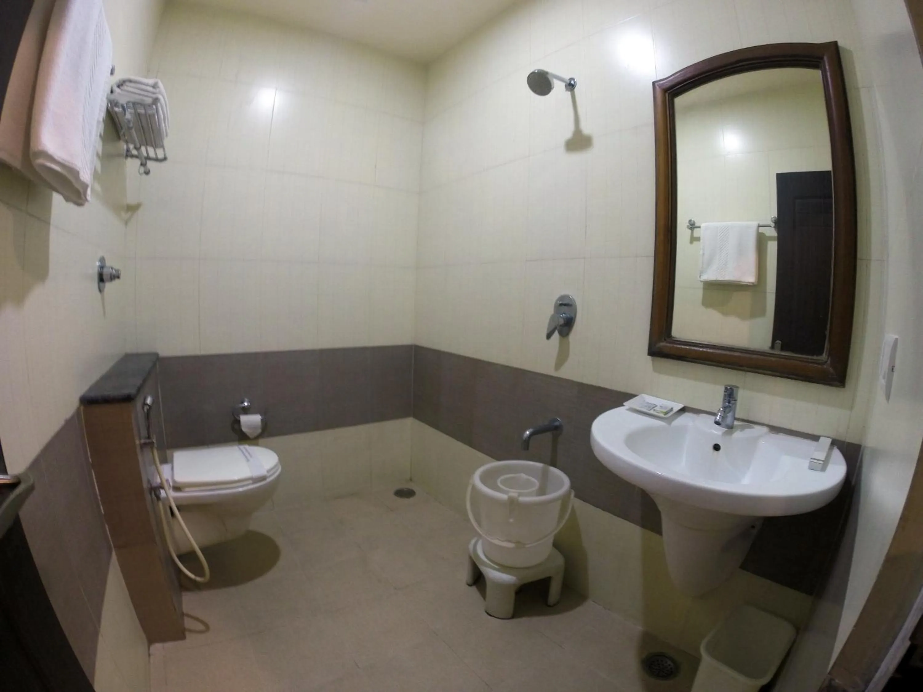 Toilet in HOTEL GREEN TREES