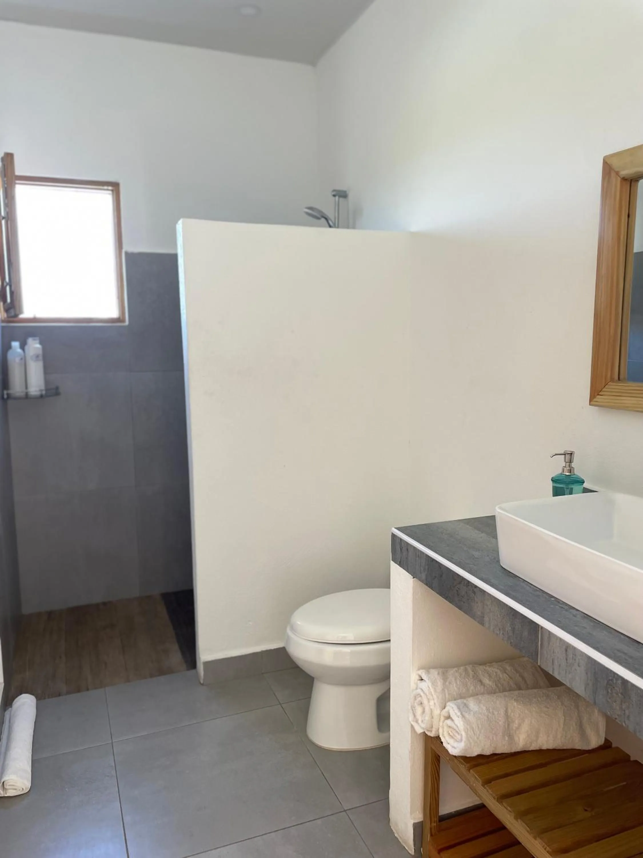 Toilet in Altos de la Caobita