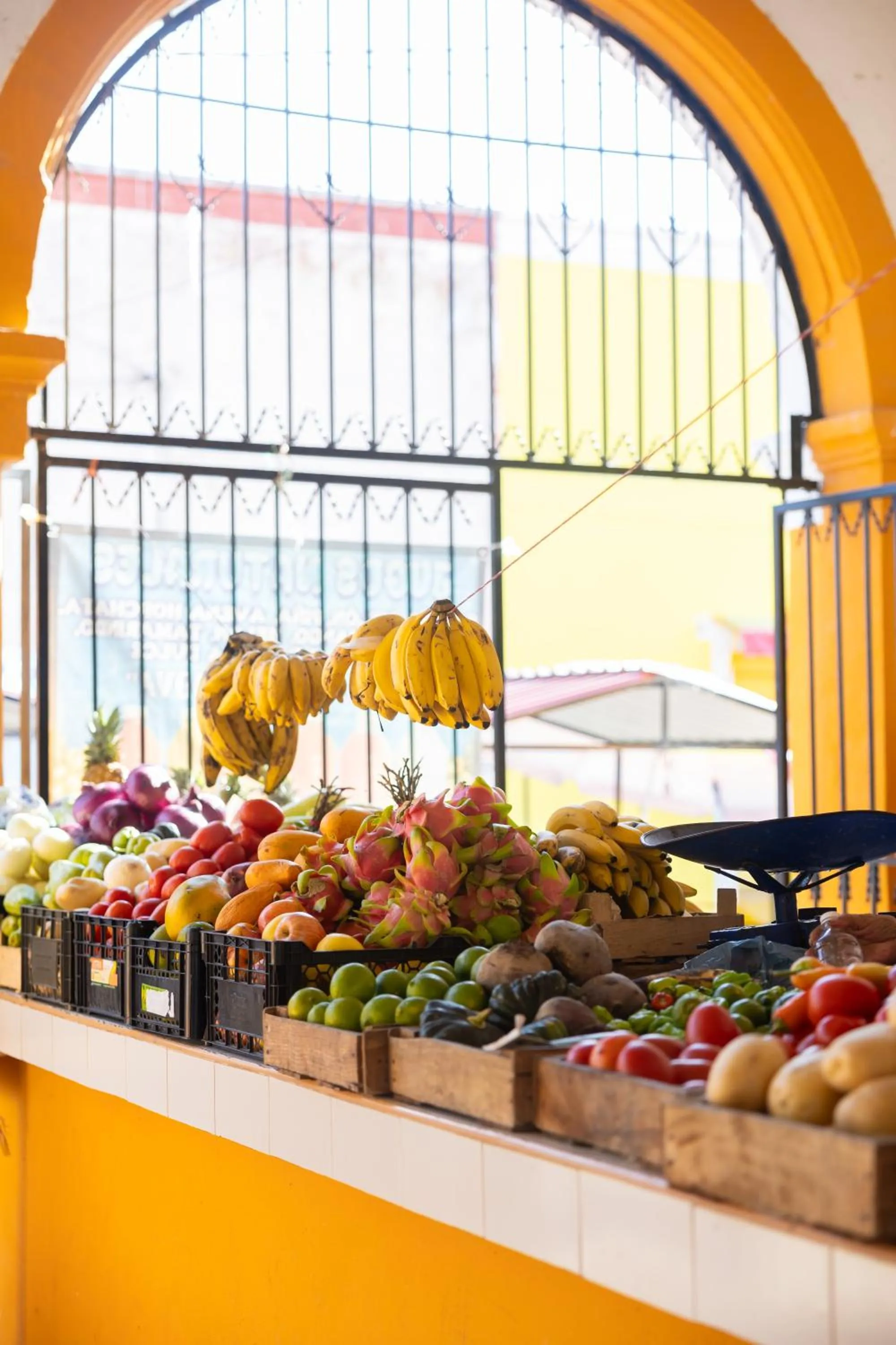 Nearby landmark in Casona los Cedros