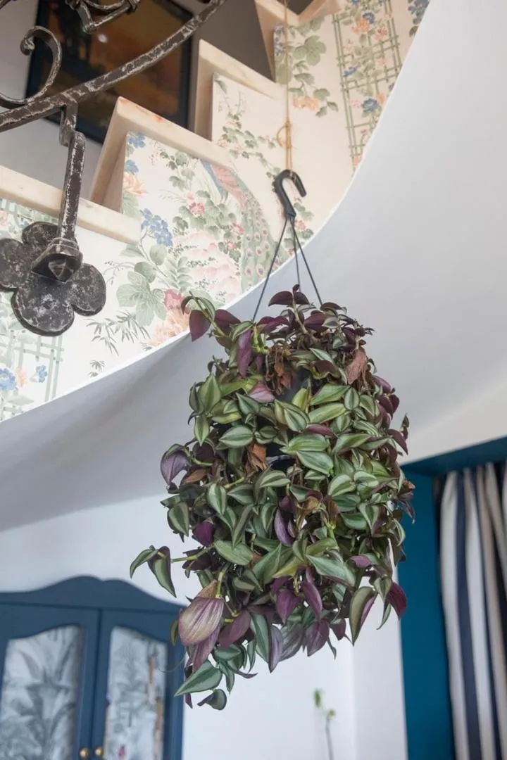 La Bellevue Bréville - B&B