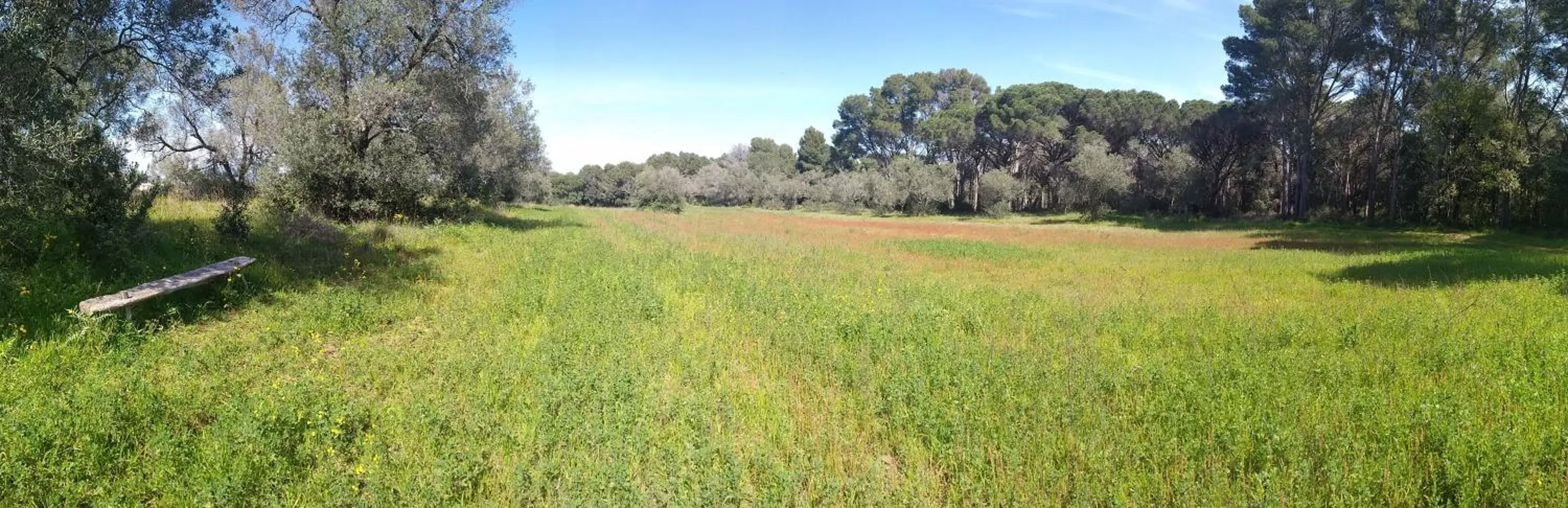 Natural landscape in Can Costals Cerezo