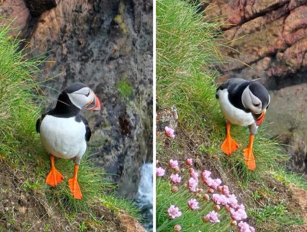 Natural landscape in Room on the River