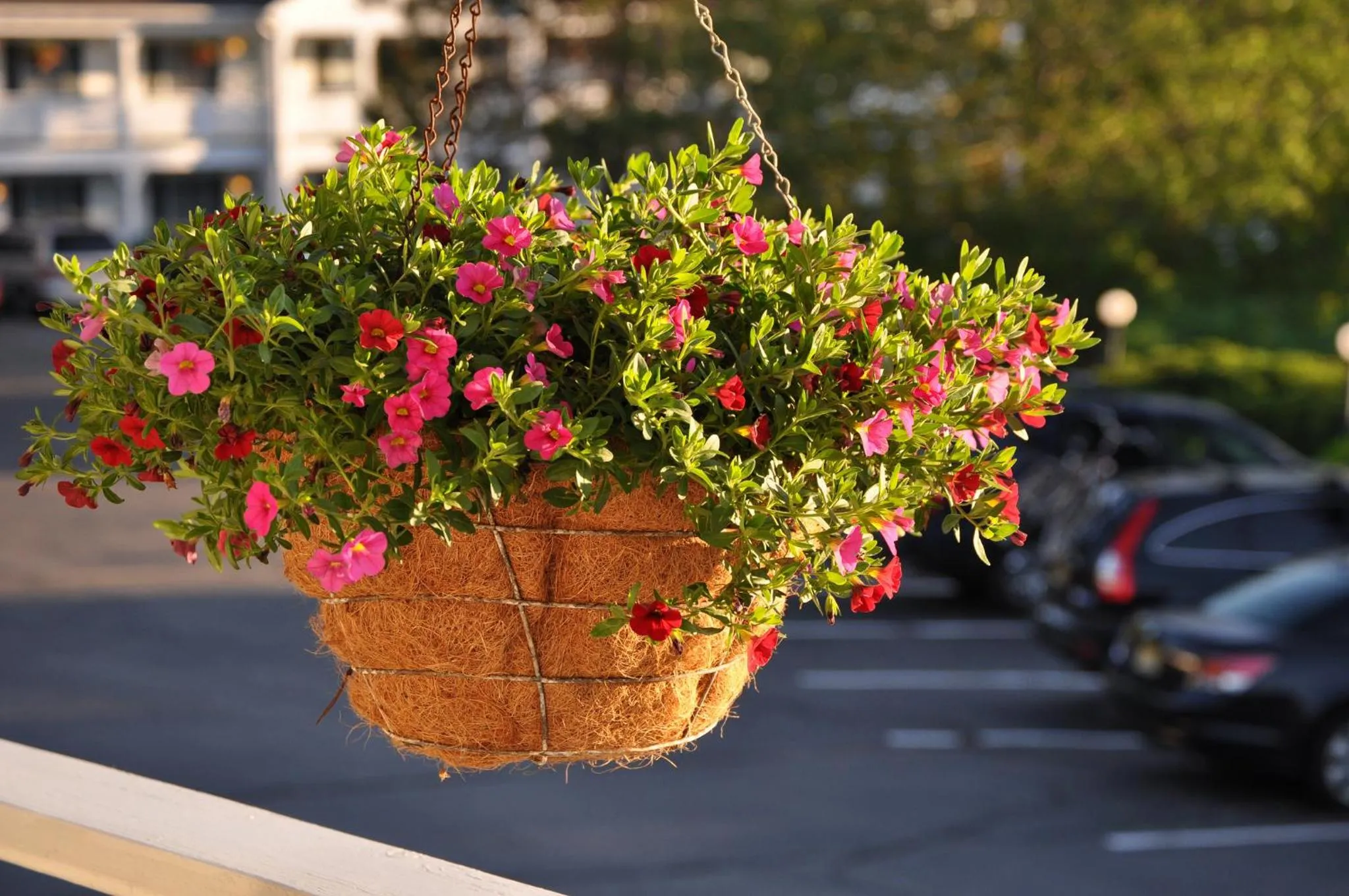 Other in Cedar Crest Inn