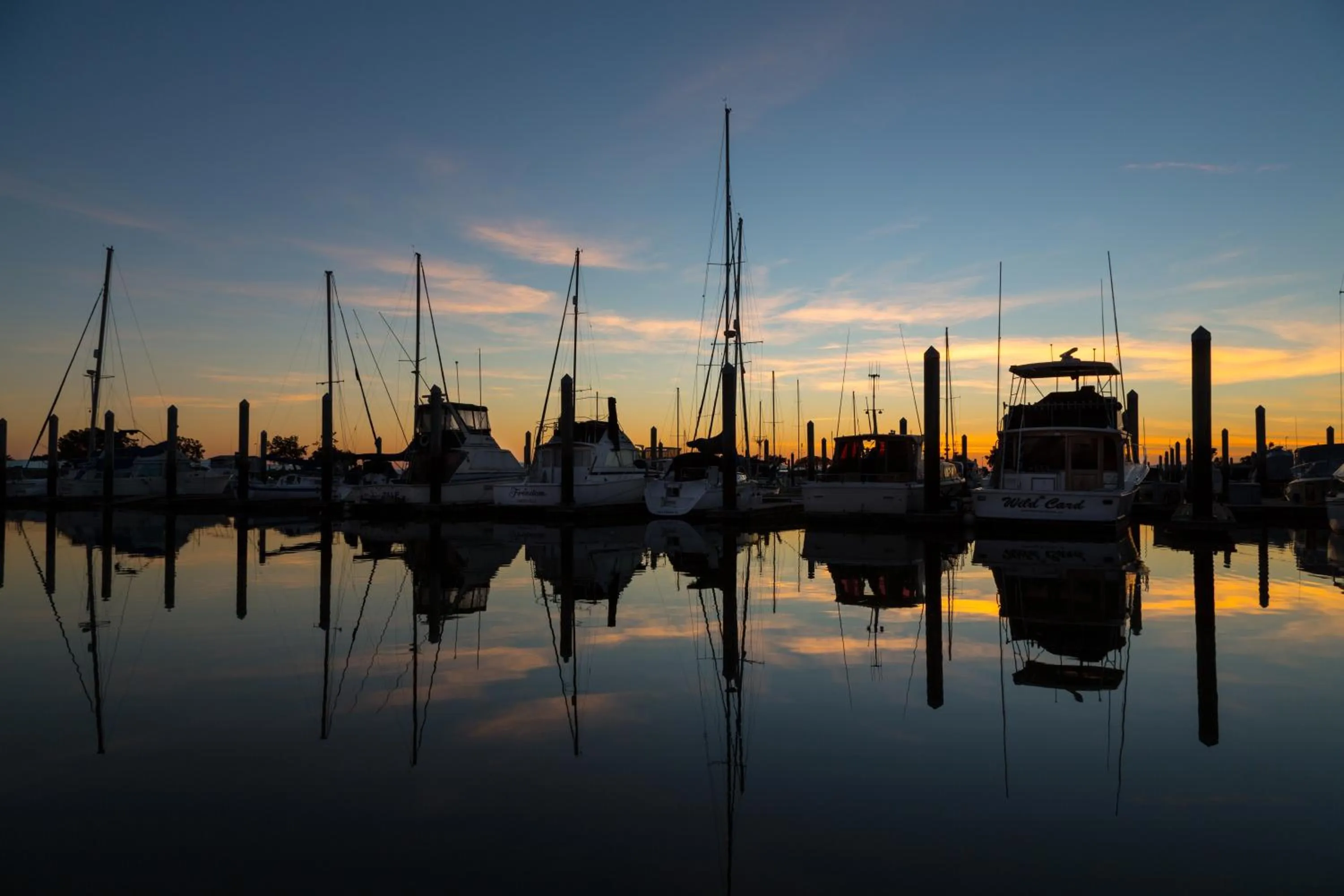 Natural landscape in The Marina Inn on San Francisco Bay