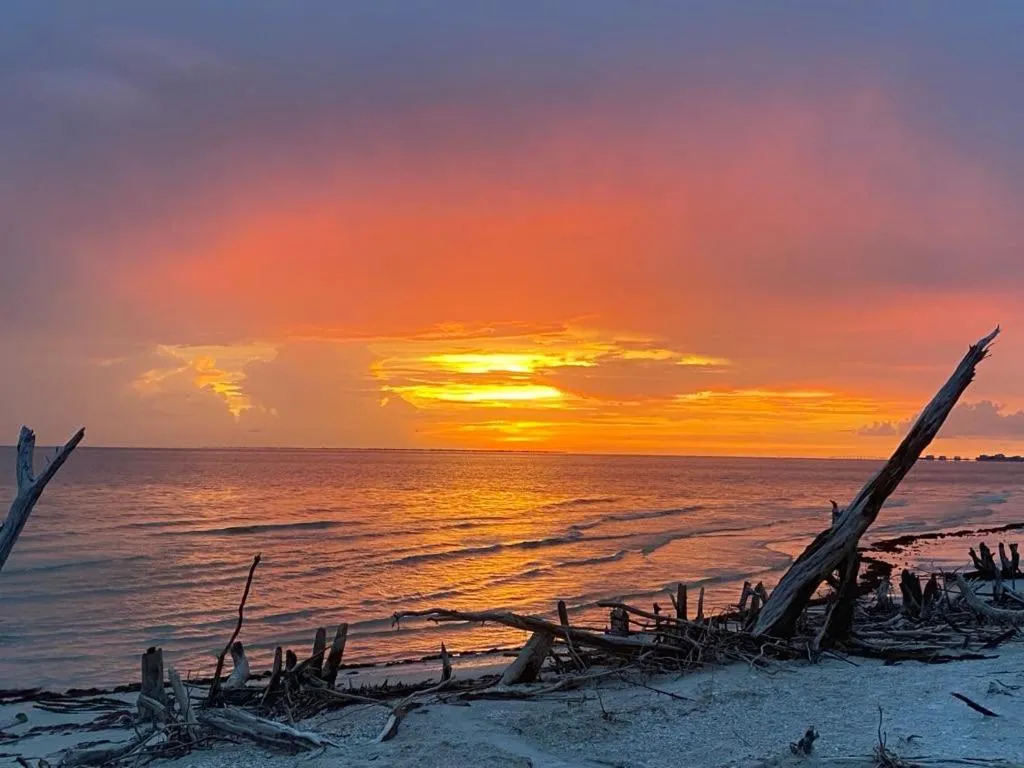 Beach in Estero Beach And Tennise Club 1008 B