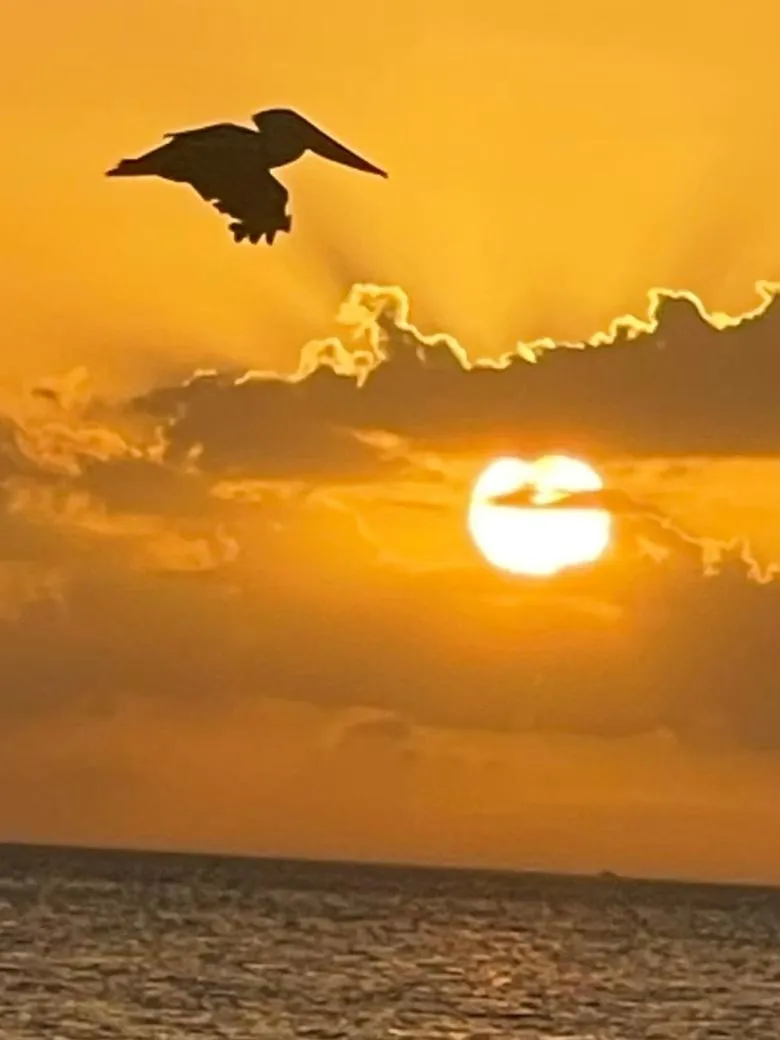 Sunset in Estero Beach And Tennise Club 1008 B