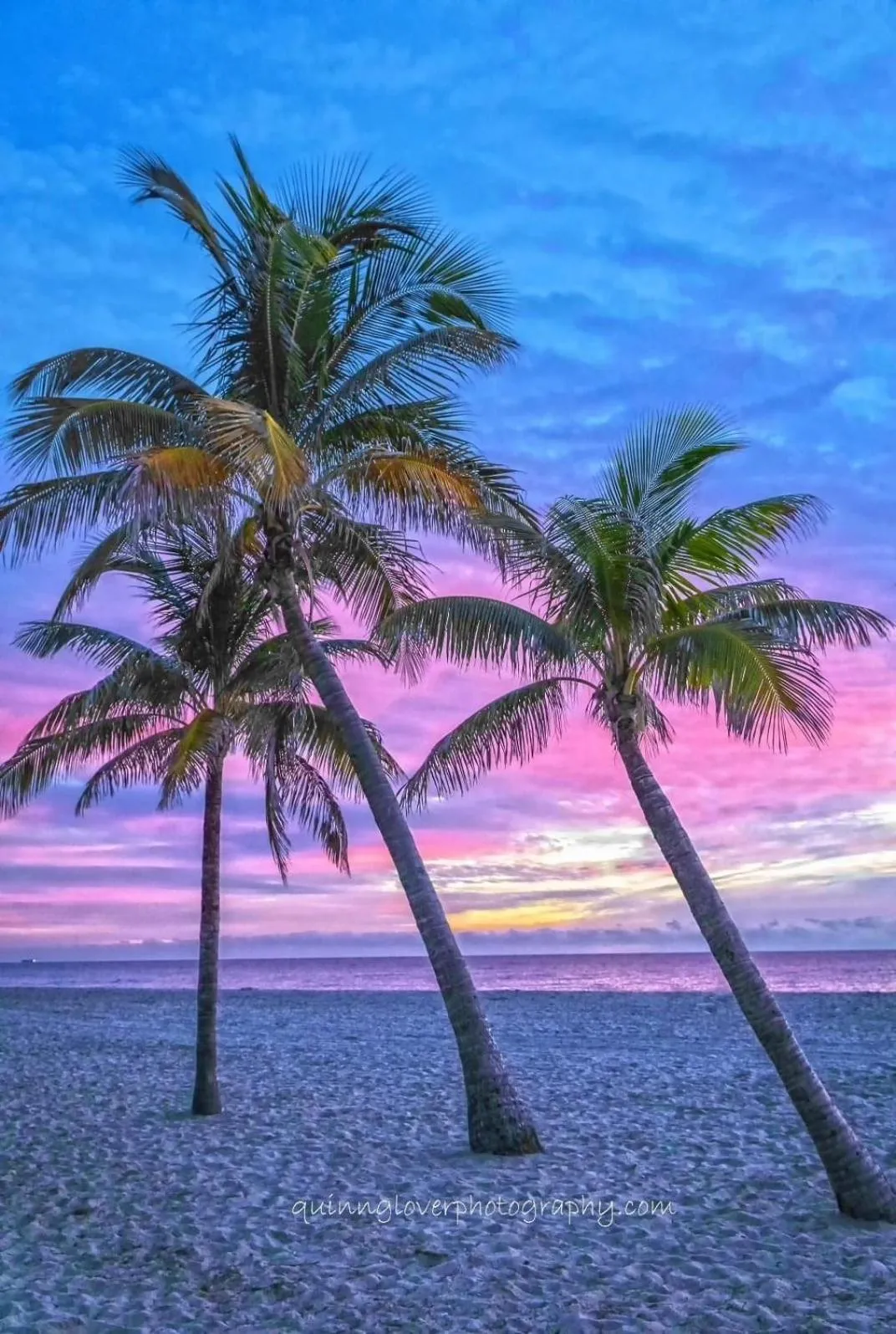 Natural landscape in Estero Beach And Tennise Club 1008 B
