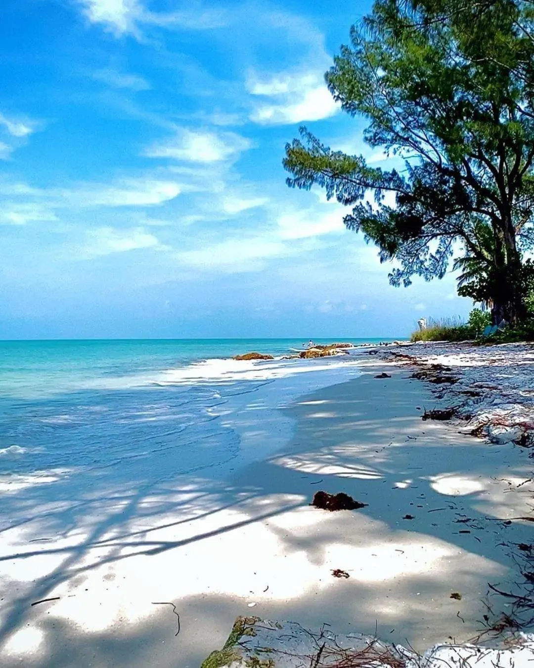 Welcome To The Paradise