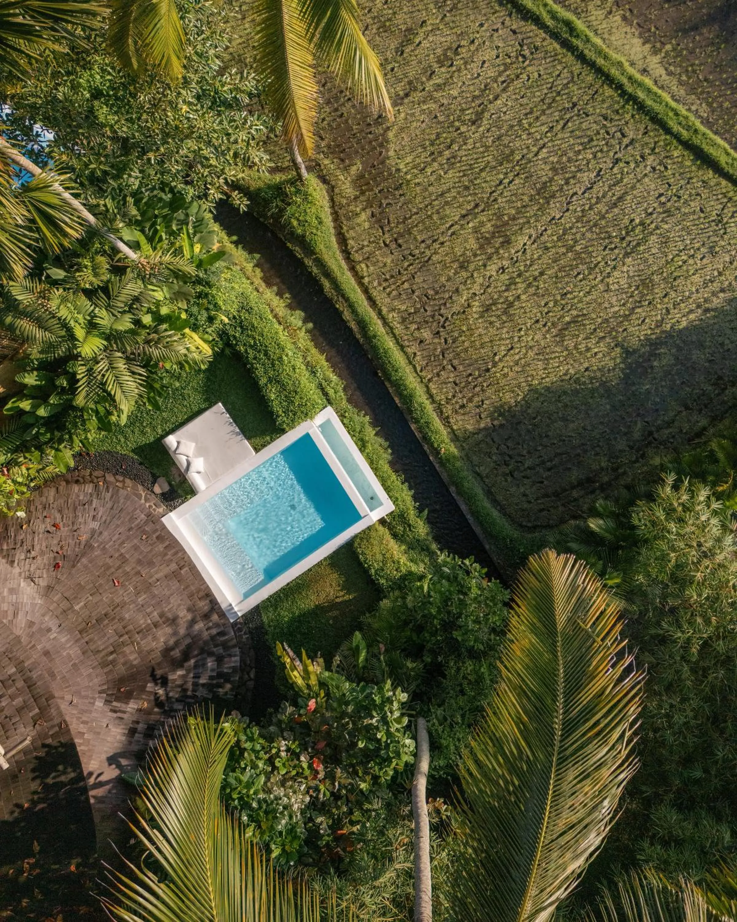 Swimming pool in Eco Six Bali