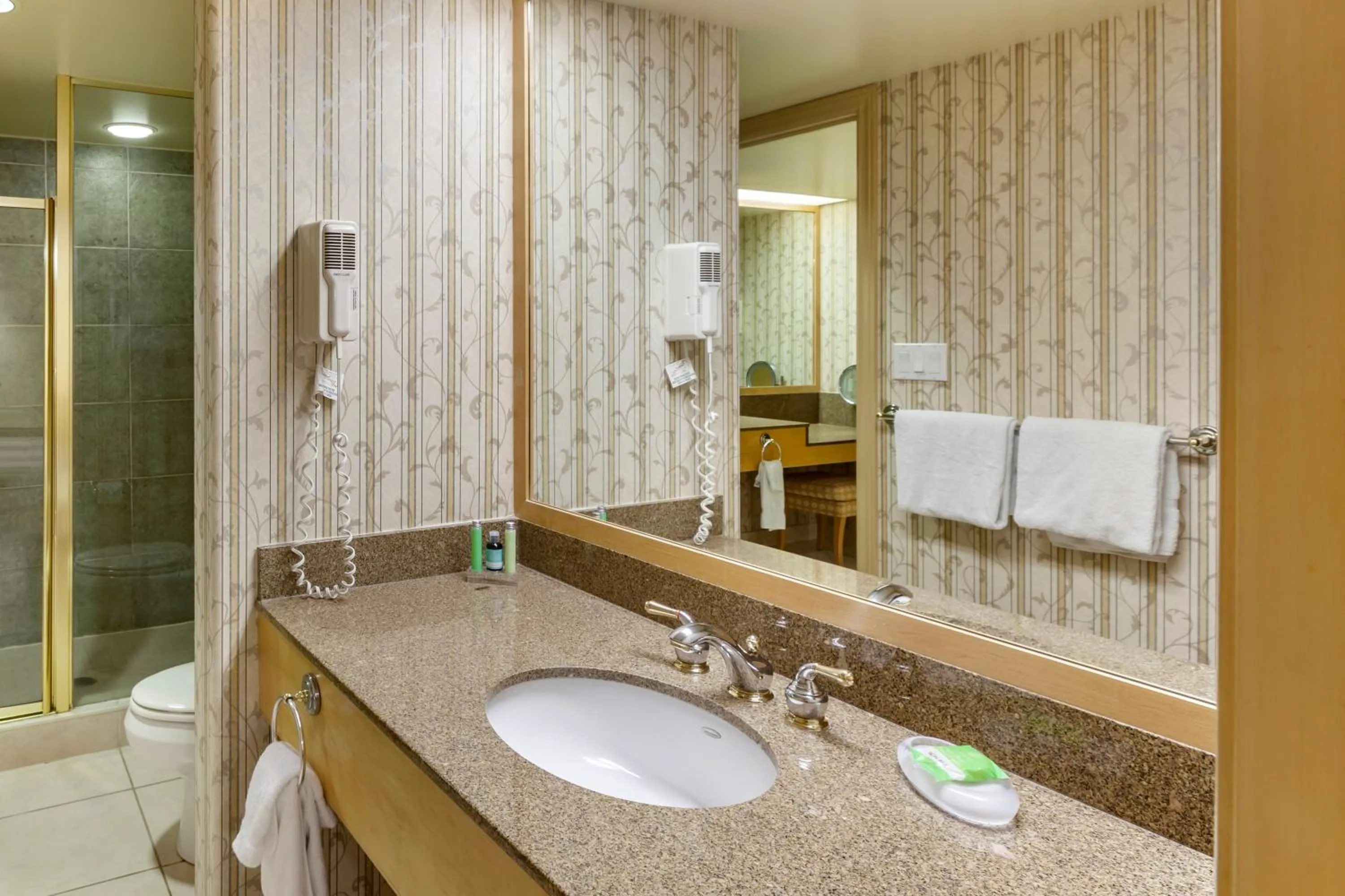 Bathroom in Carriage Ridge Resort, an Ascend Collection Resort
