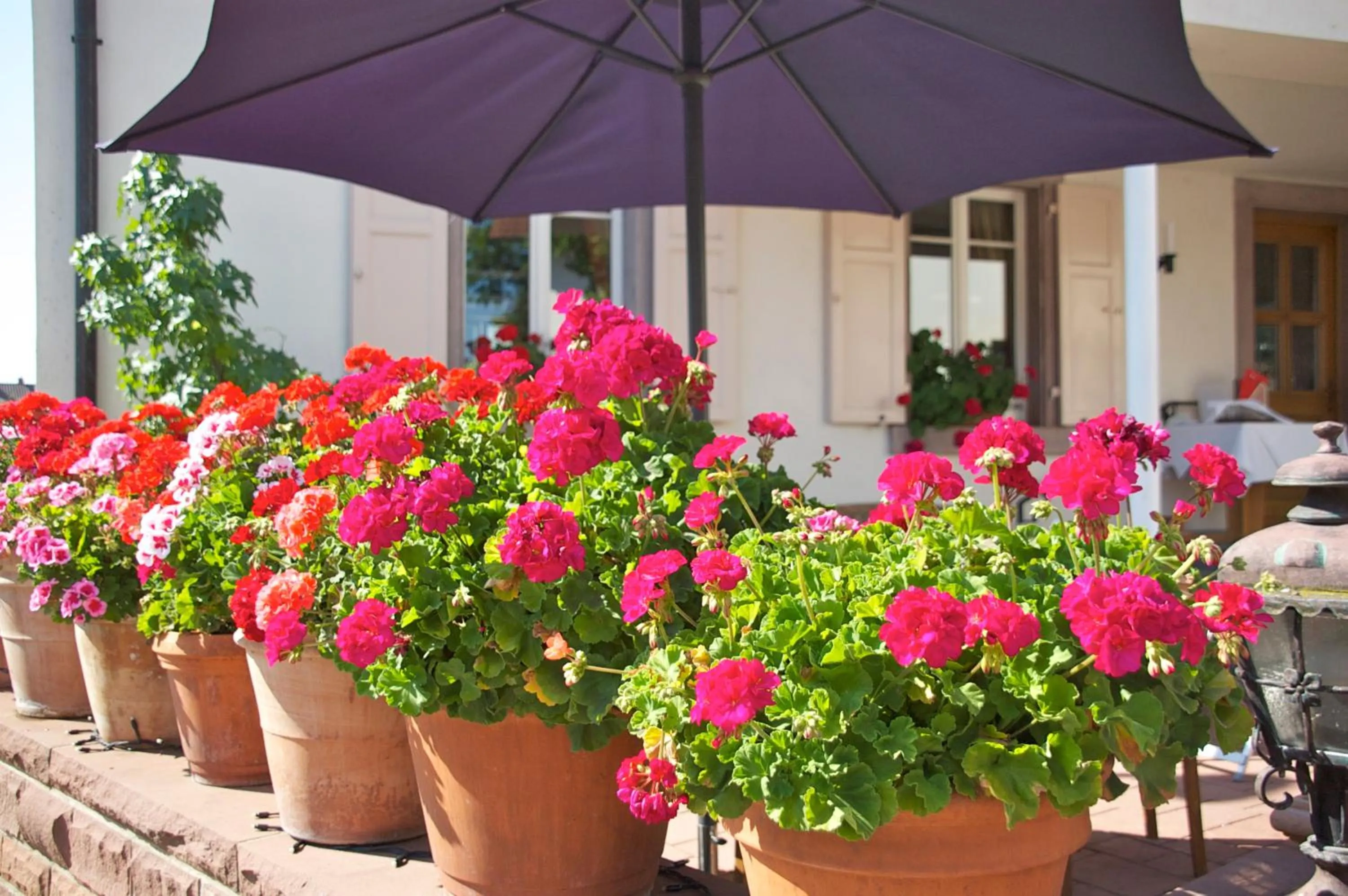 Other in Hotel Hirsch