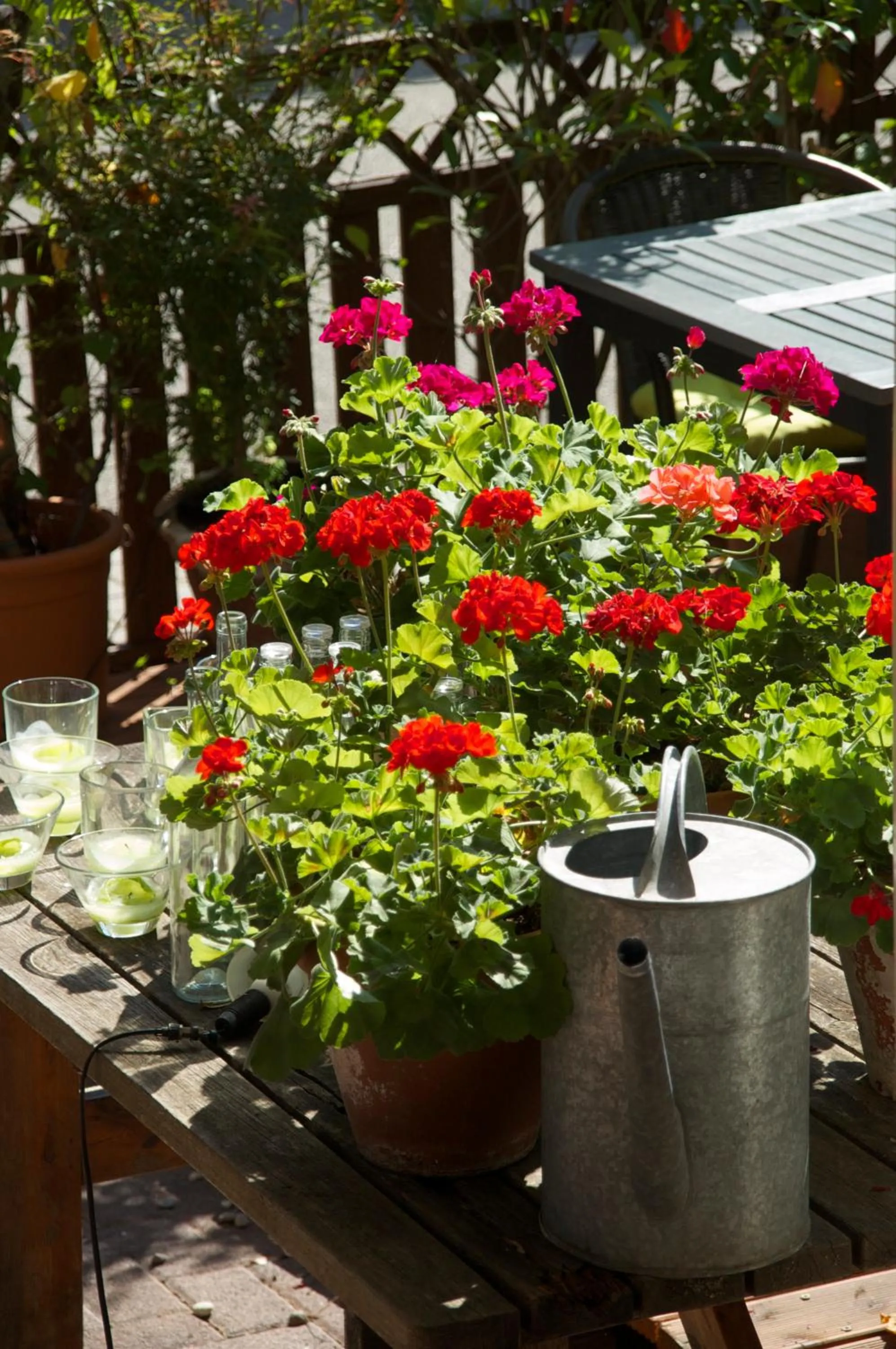 Other in Hotel Hirsch