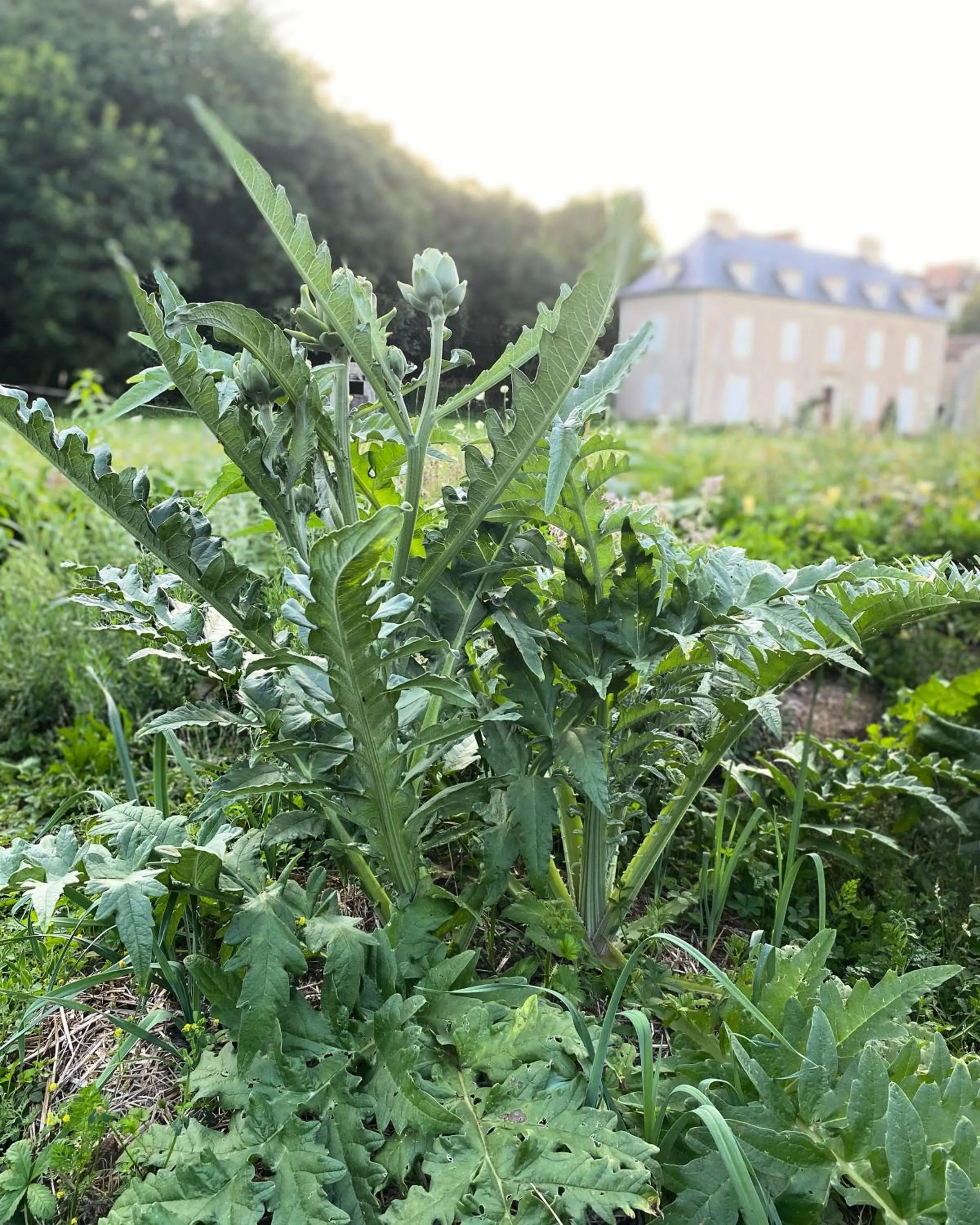 Property building in NOUBAR