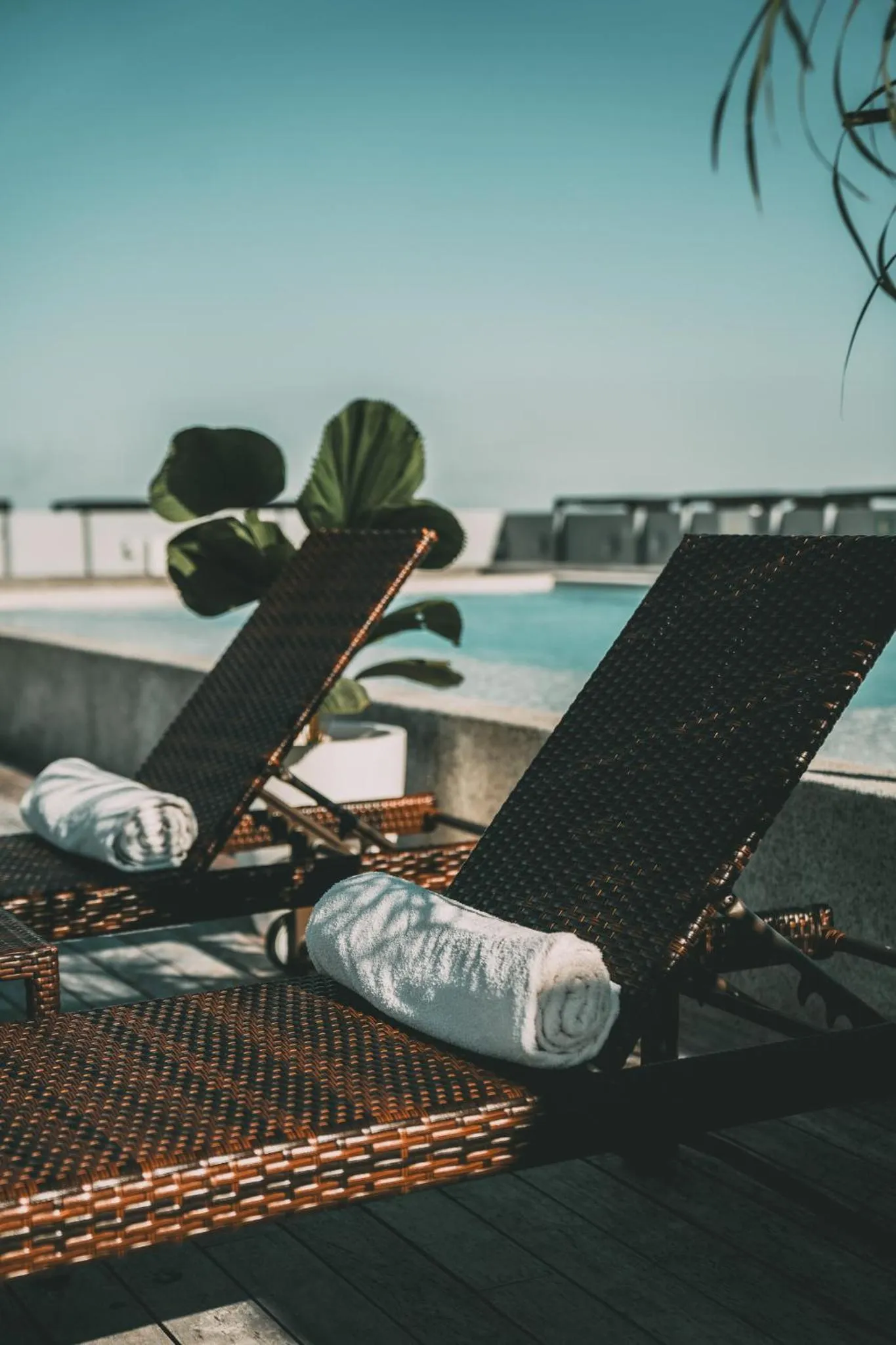 Day in AKEN MIND Mérida Hotel