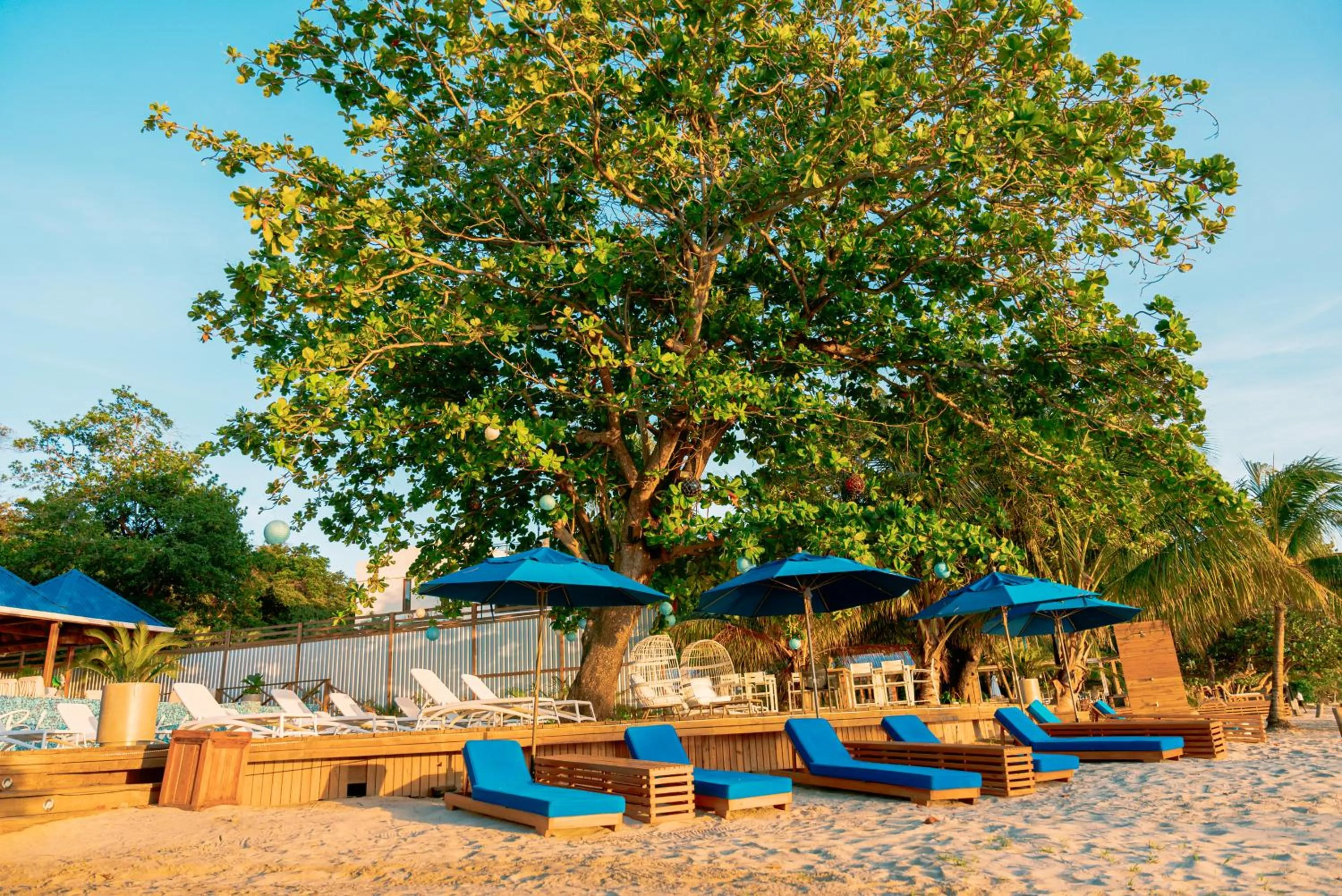 Beach in Blue Roatan Resort