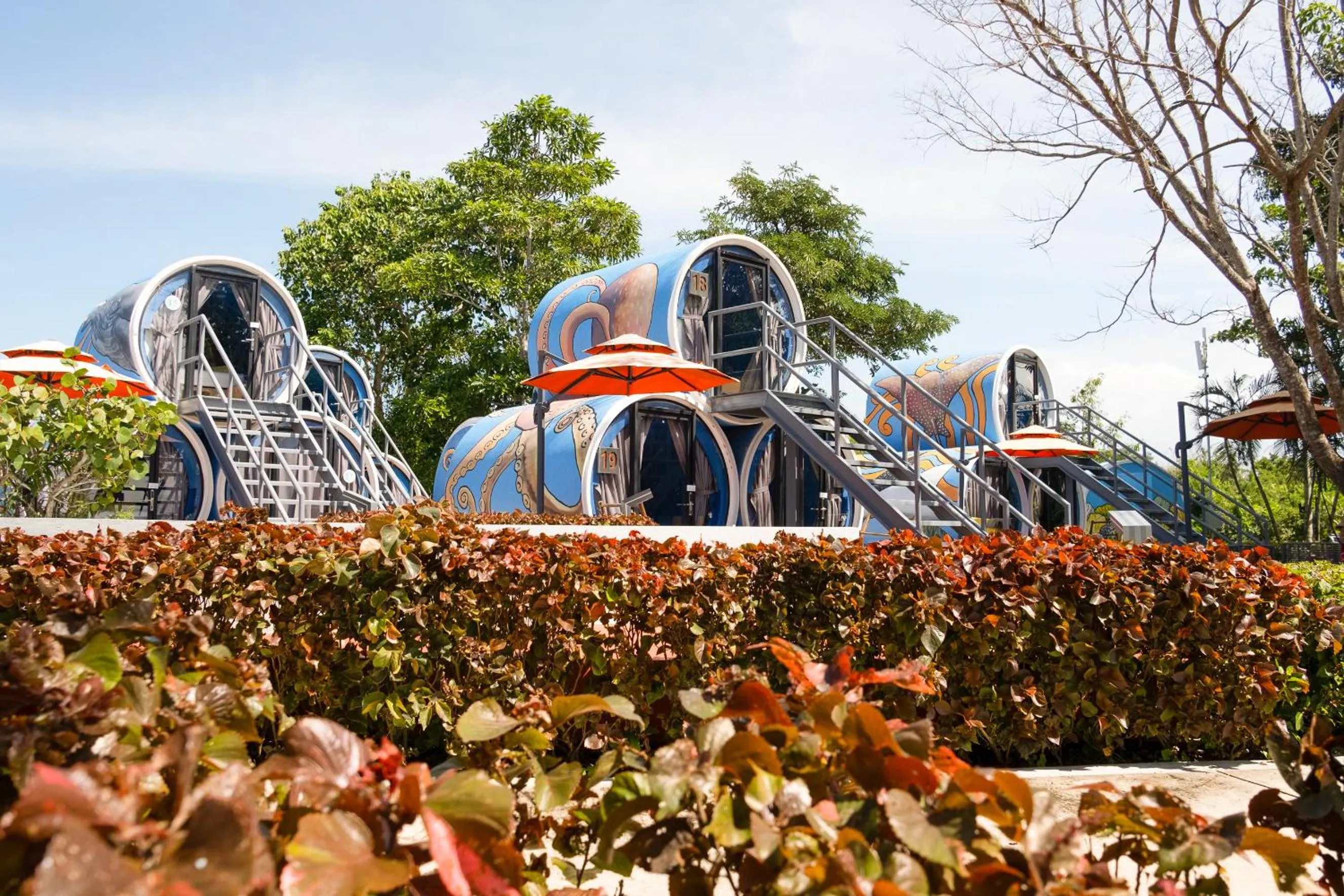 Day in Cocoons Club Laiya