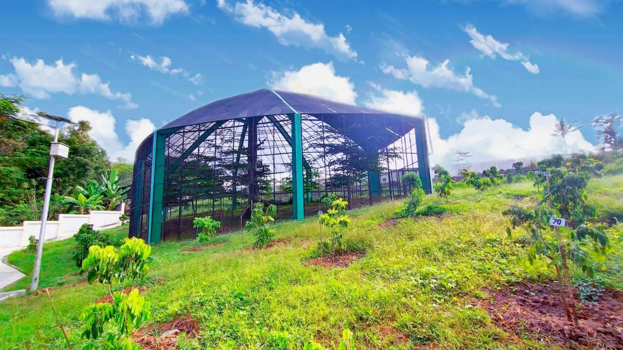 Property building in Kasuari Exotic Resort Magelang