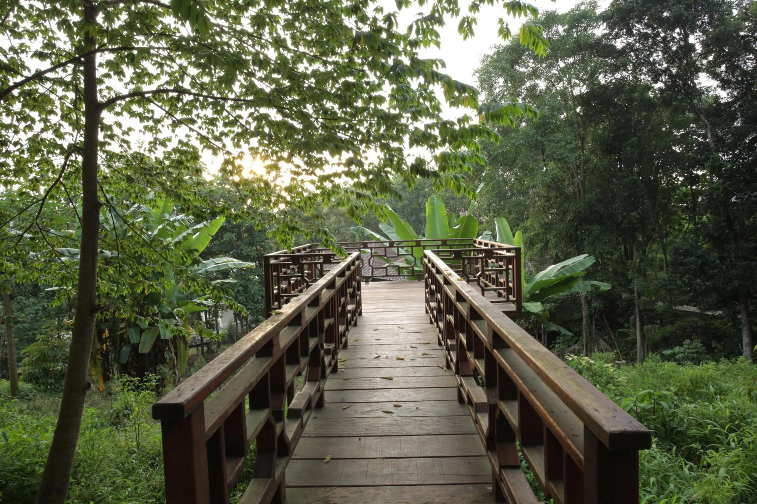 Natural landscape in Kasuari Exotic Resort Magelang