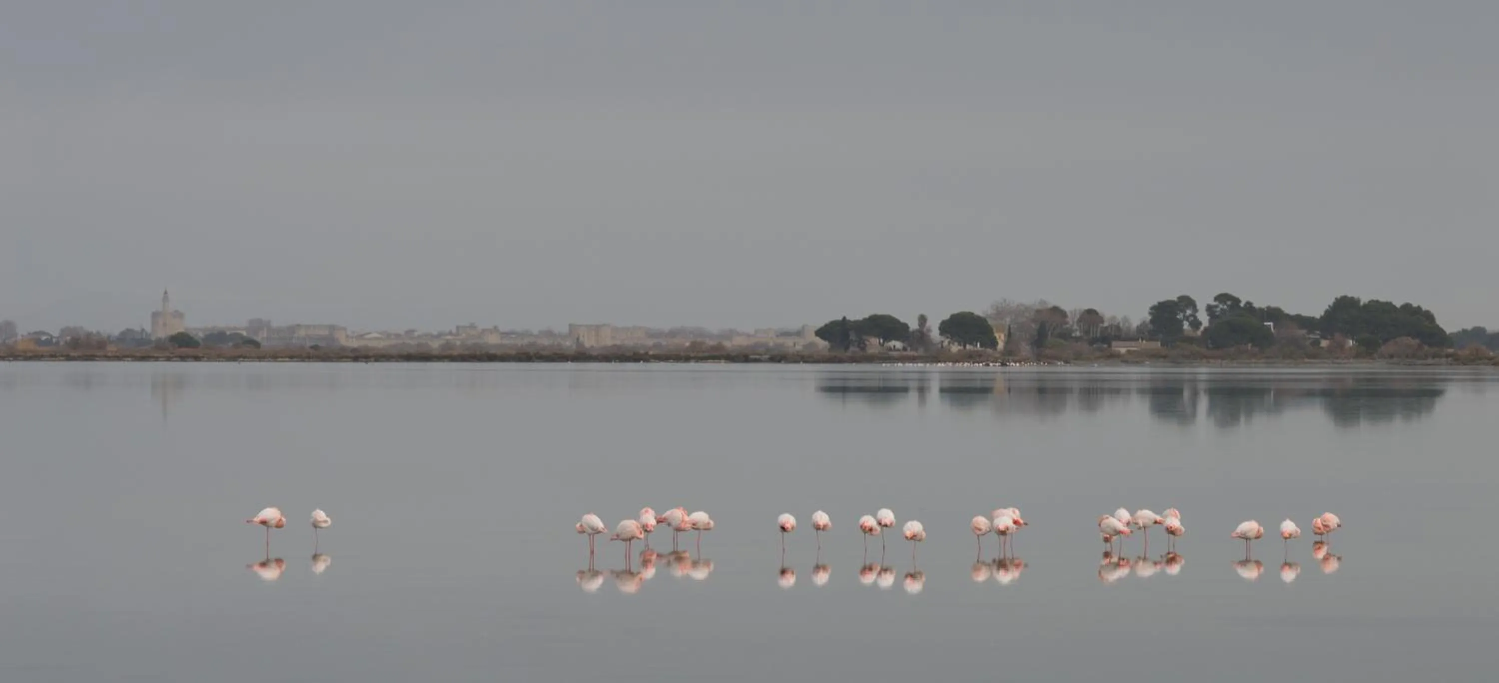 Natural landscape in Hotel Saint Louis - Au Coeur des Remparts