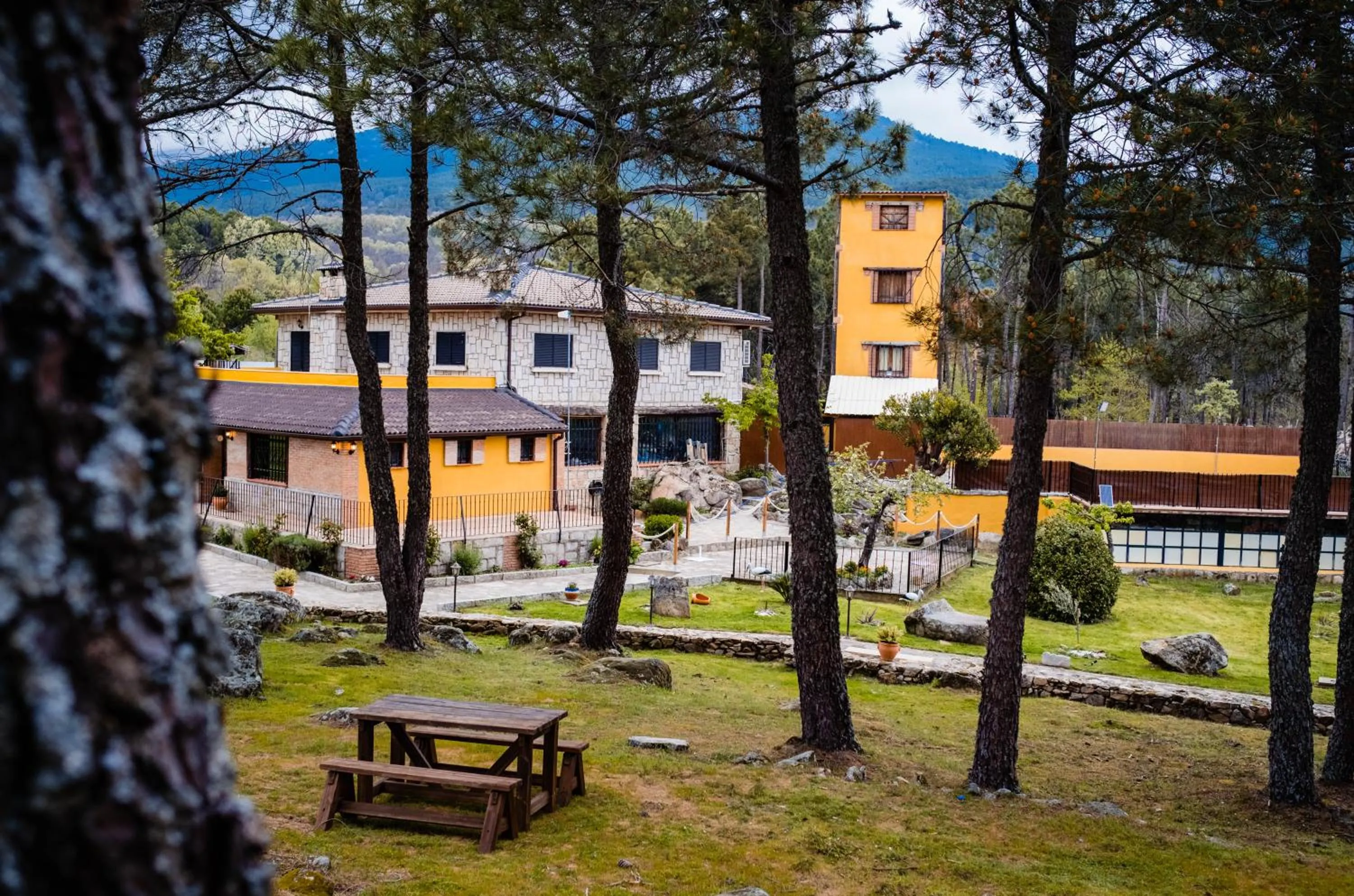 Restaurant/places to eat in Eras del Poeta