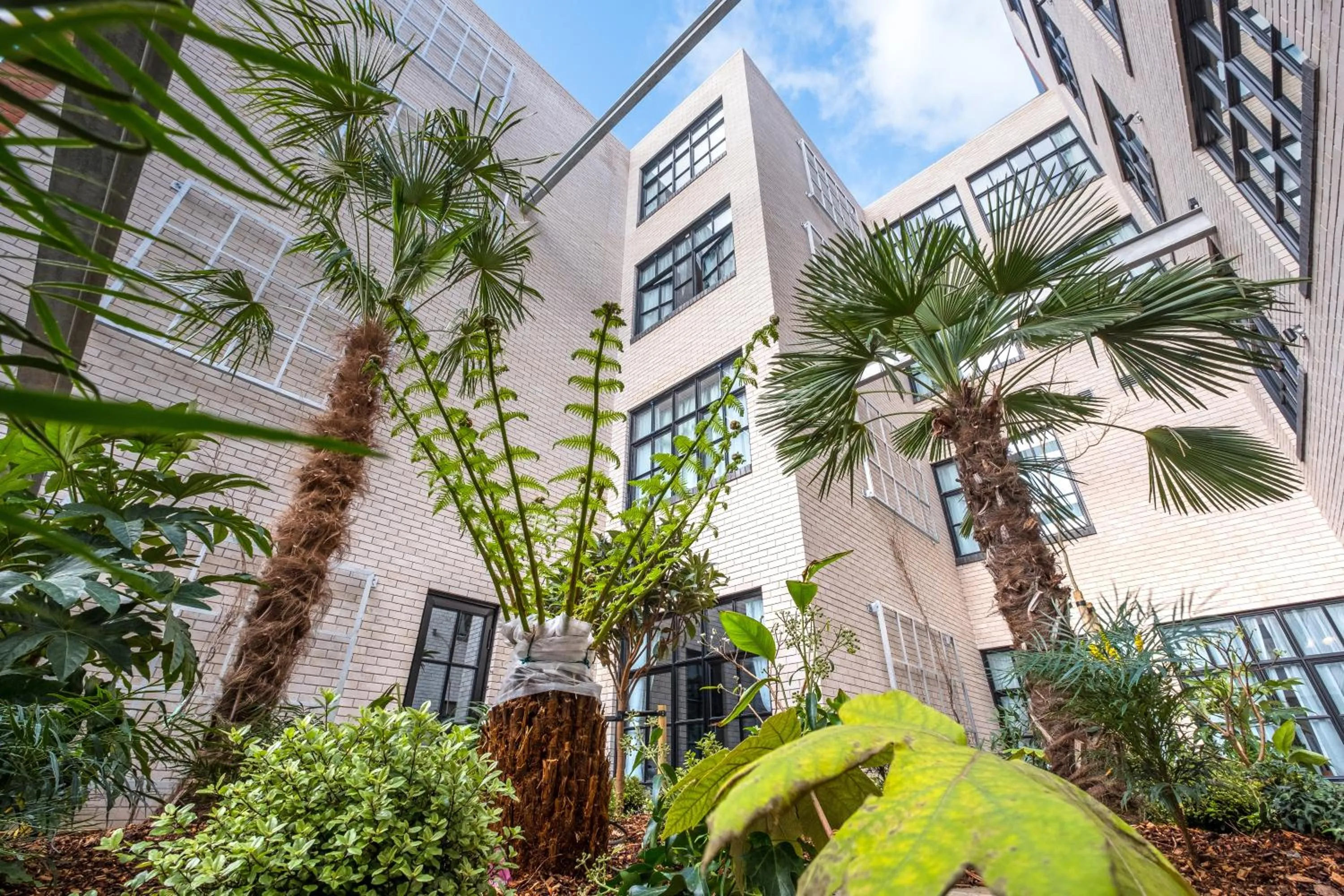 View (from property/room) in room2 London Chiswick Hometel