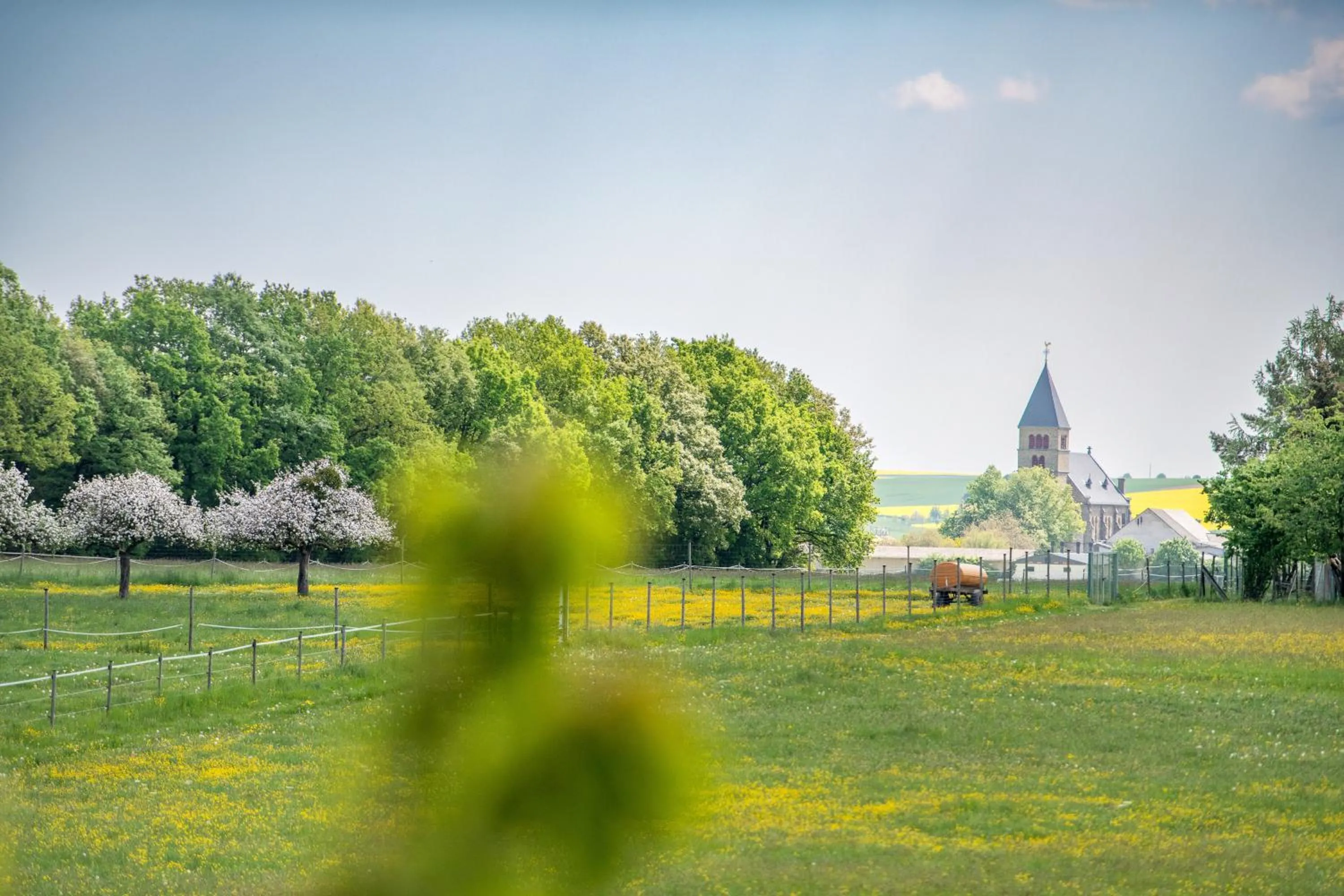 Spring in Waldesblick, Hotel-Restaurant