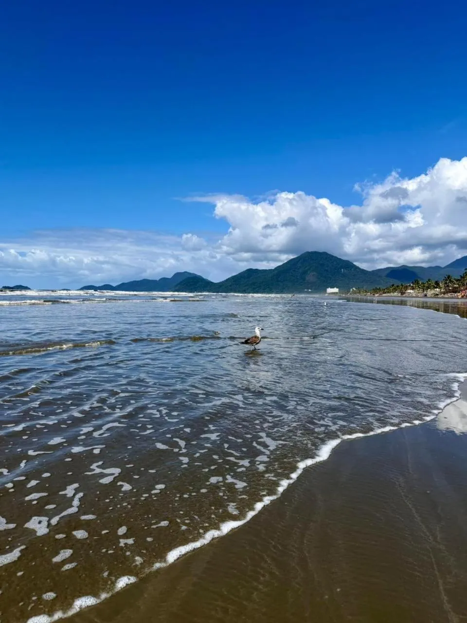 Beach in Pousada Oásis