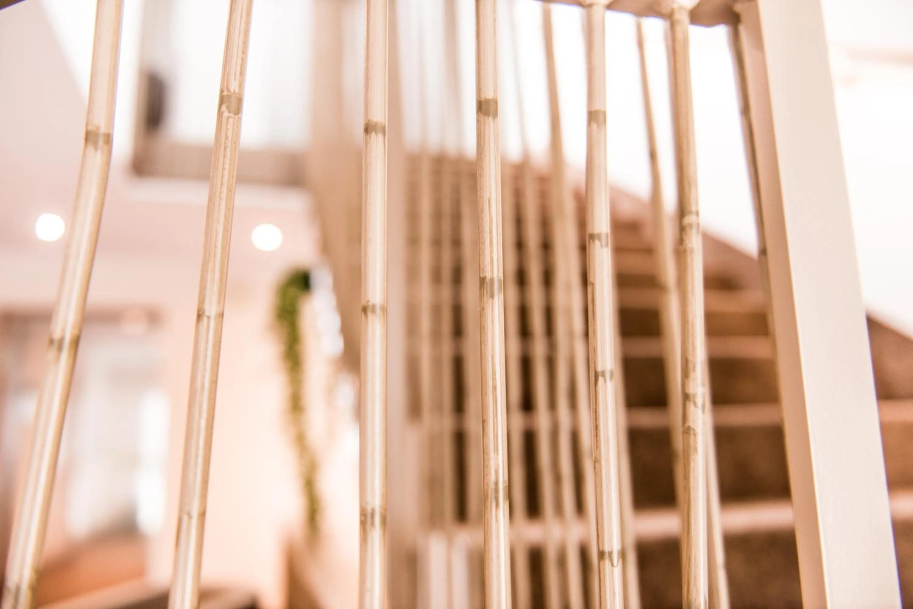 Area and facilities in Hotel Volapük