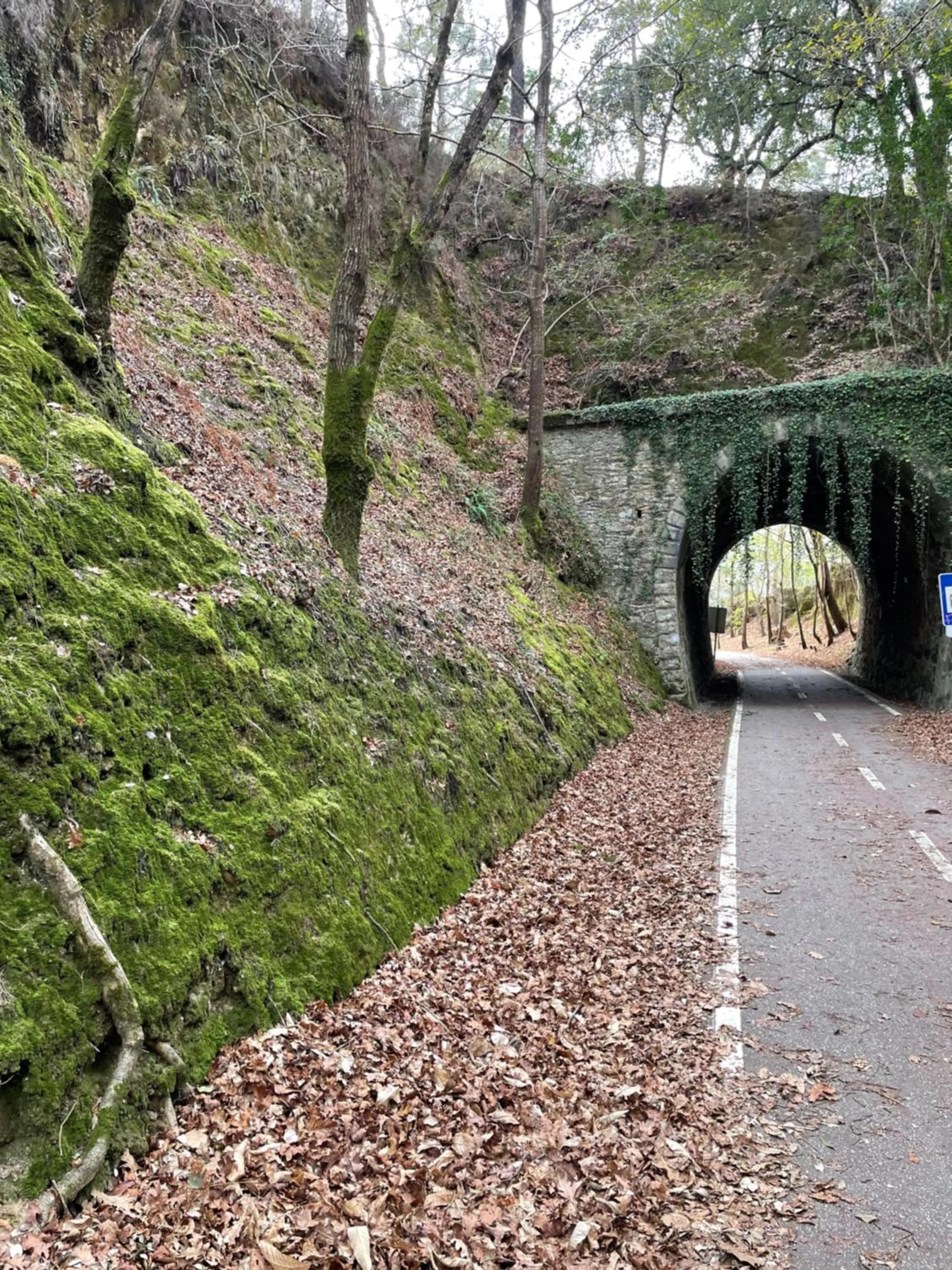 Nearby landmark in Santiago Family House