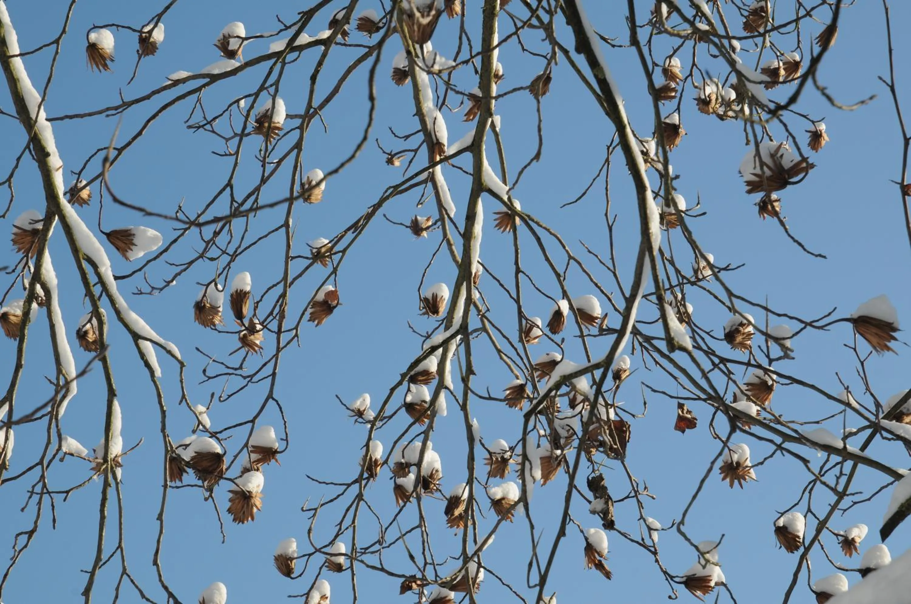 Other in Geinberg Suites & Via Nova Lodges