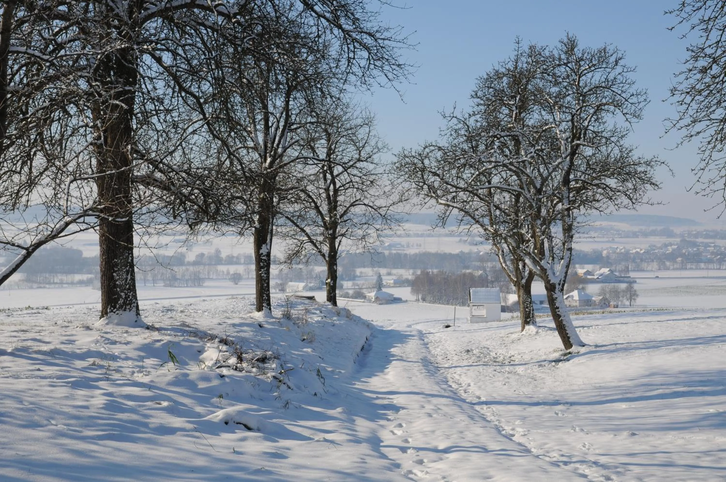 Area and facilities in Geinberg Suites & Via Nova Lodges