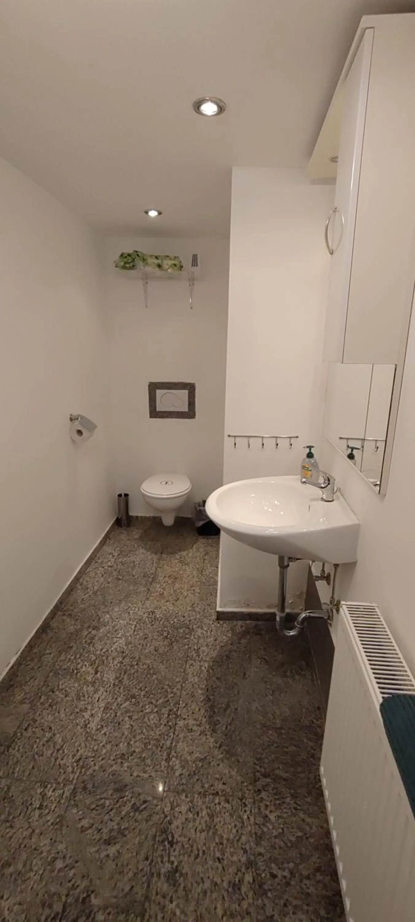 Toilet in Geinberg Suites & Via Nova Lodges