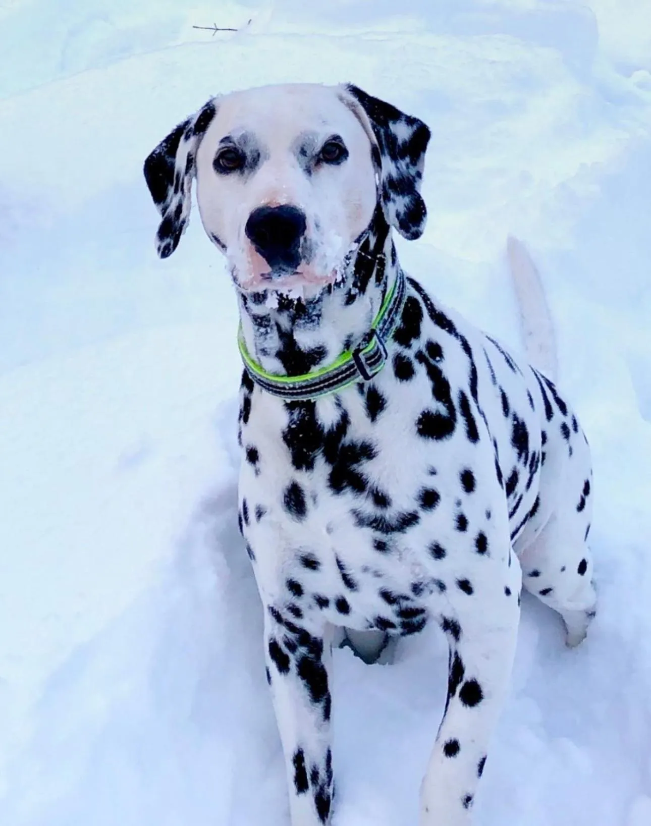 Villa Verde B&B Greenwood Lake NY