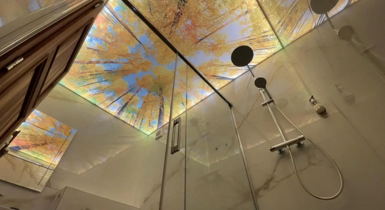 Shower in Hotel & wellness Hejtmanka