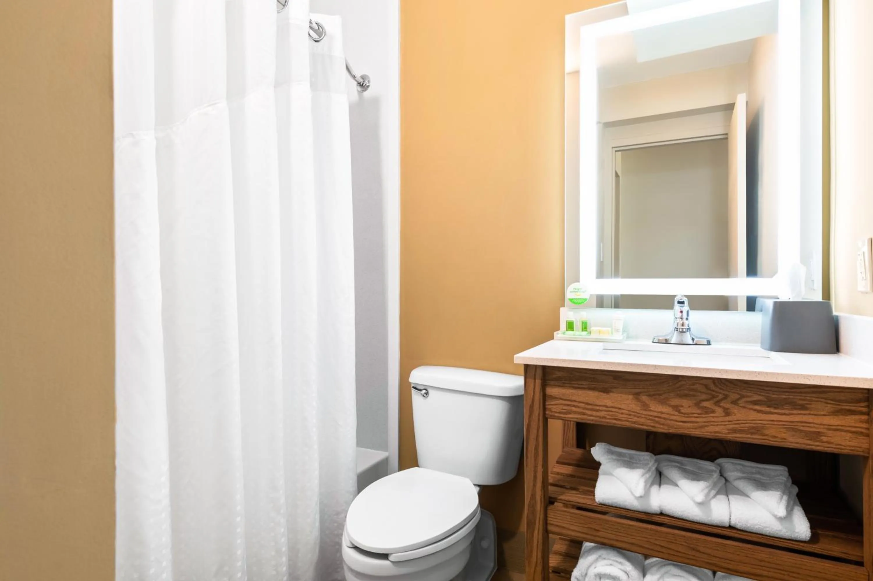 Bathroom in Doubletree By Hilton Greensboro Airport