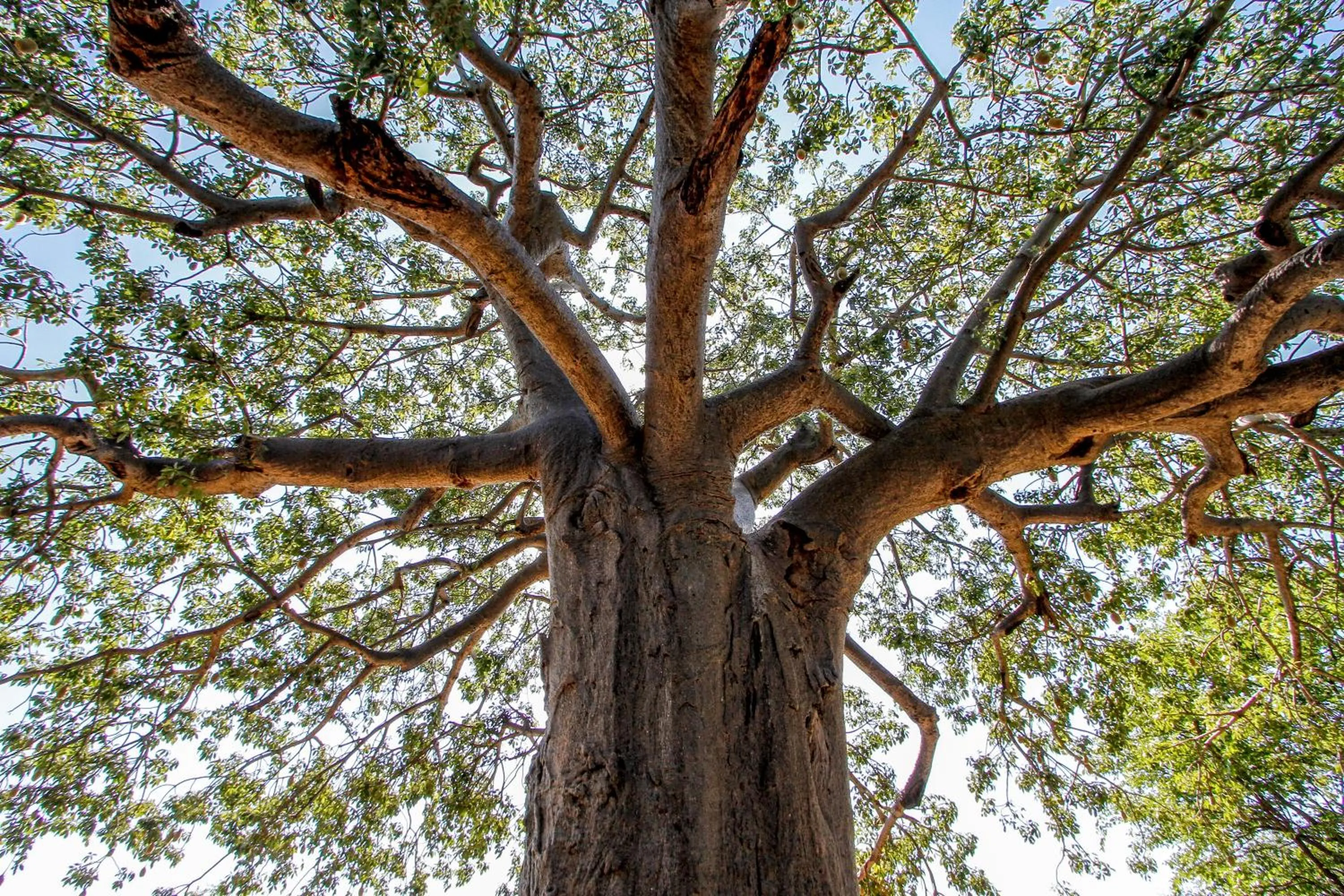 Natural landscape in SleepOver Orpen Gate