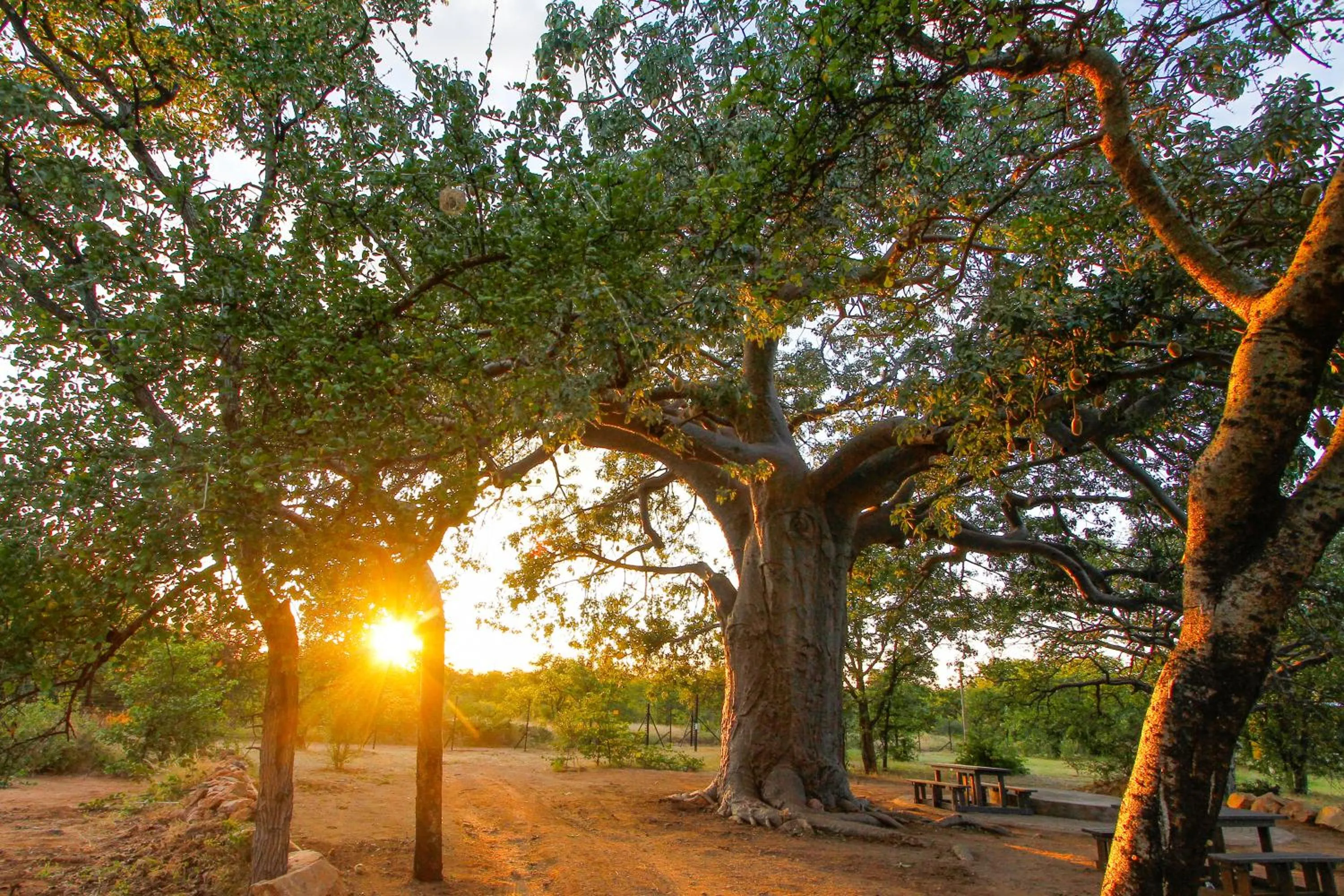 Property building in SleepOver Beitbridge